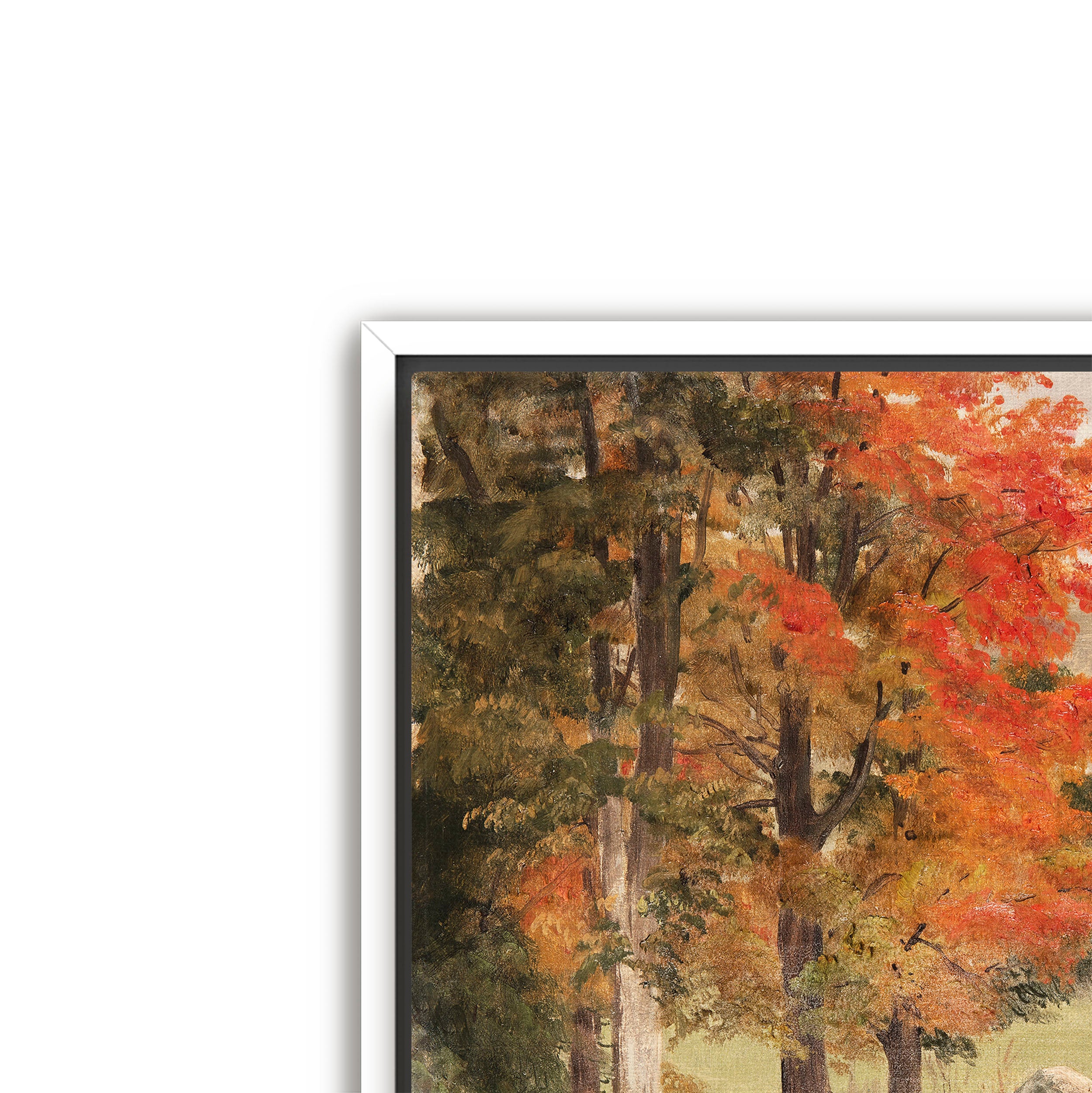 woods in autumn