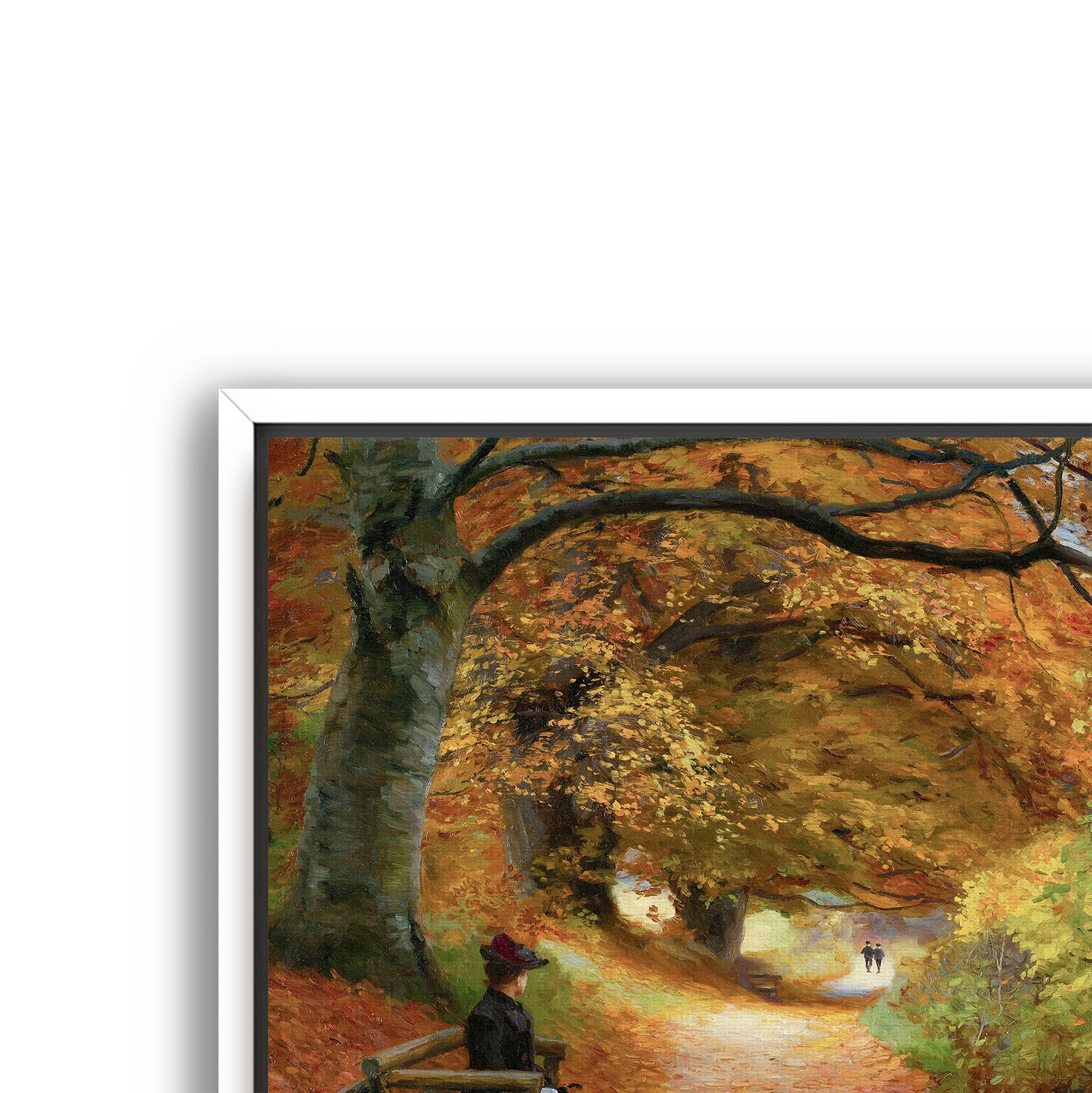 wooded autumn path