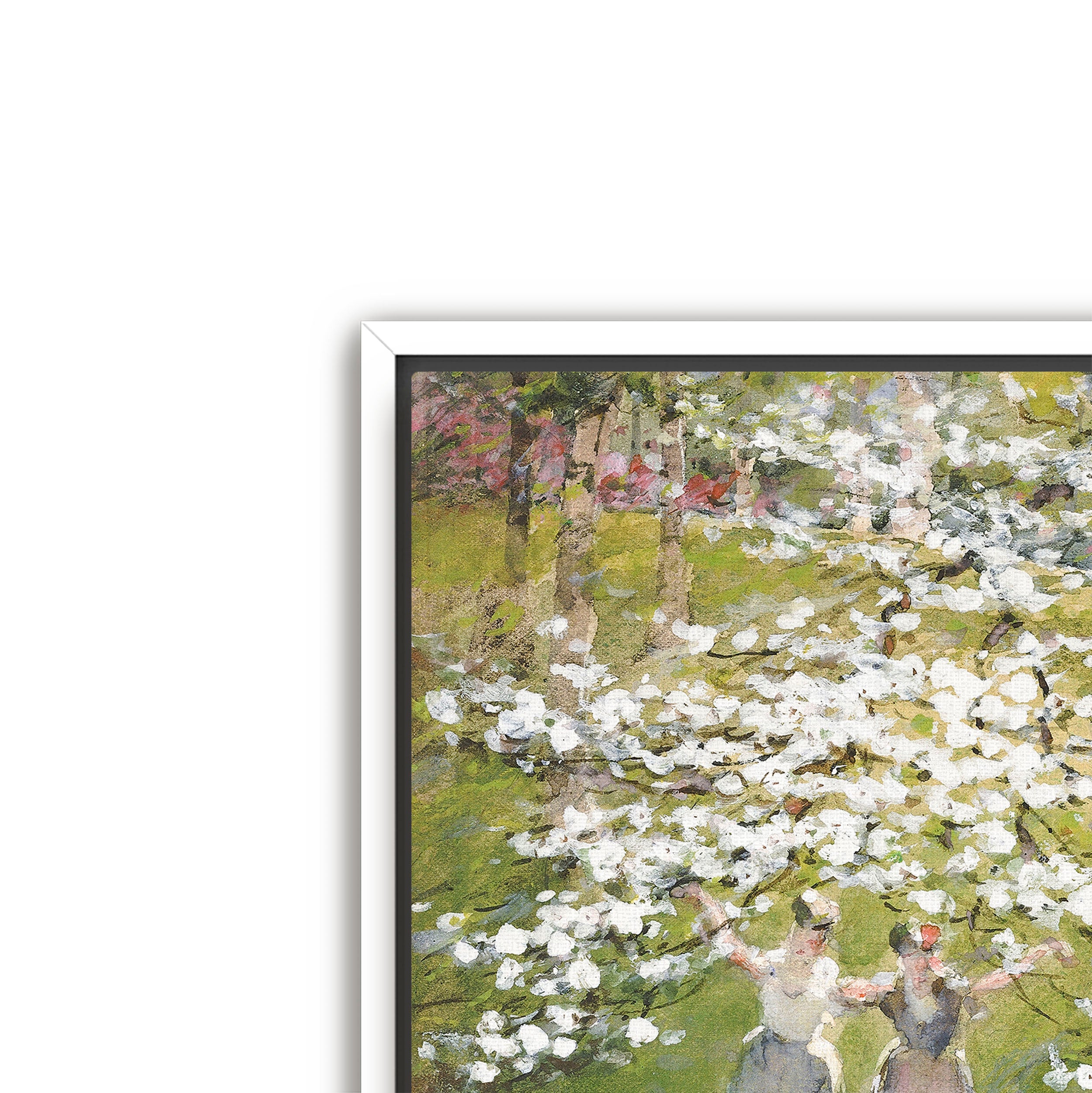 blossoms