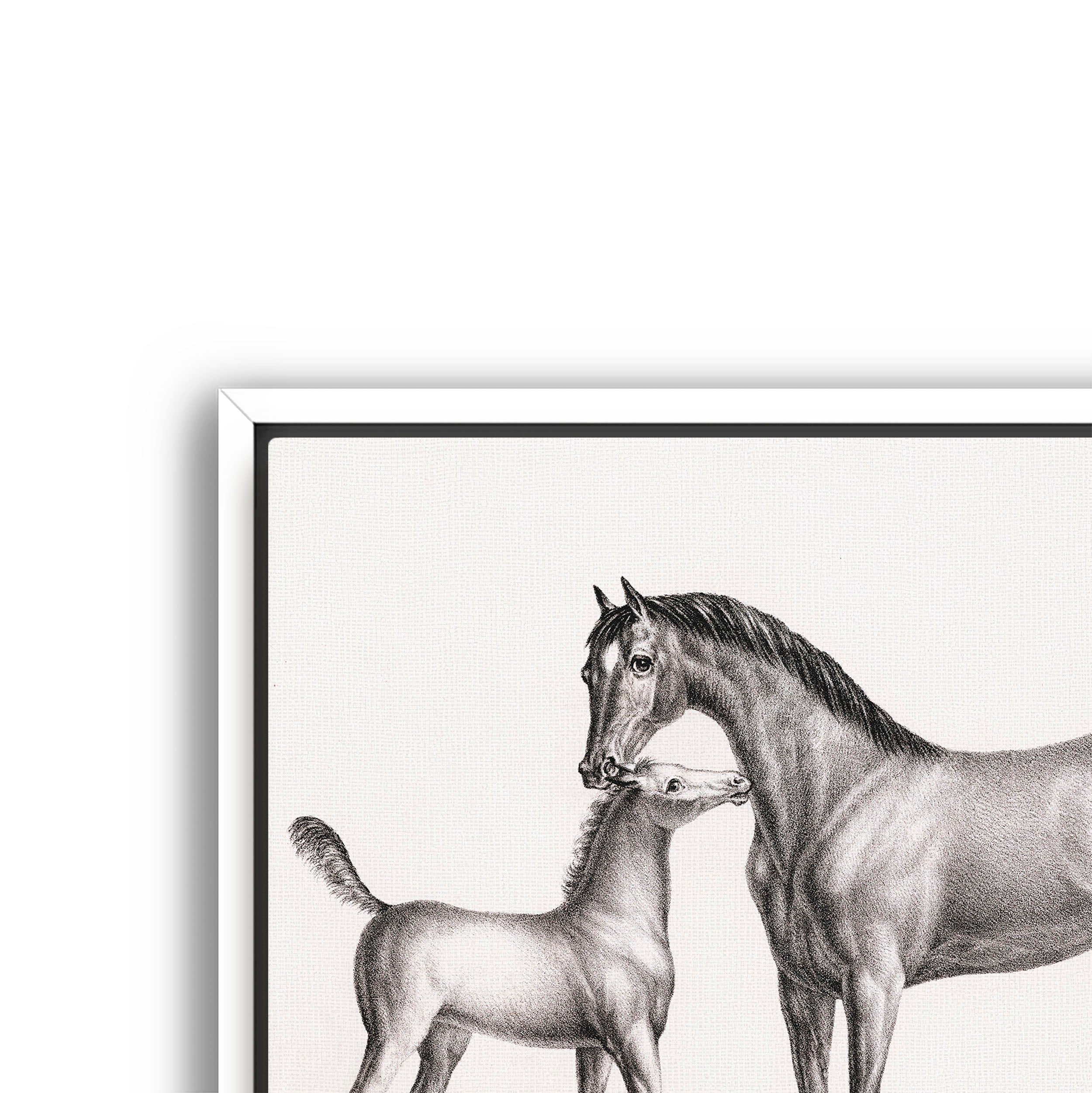 eclipse and her foal