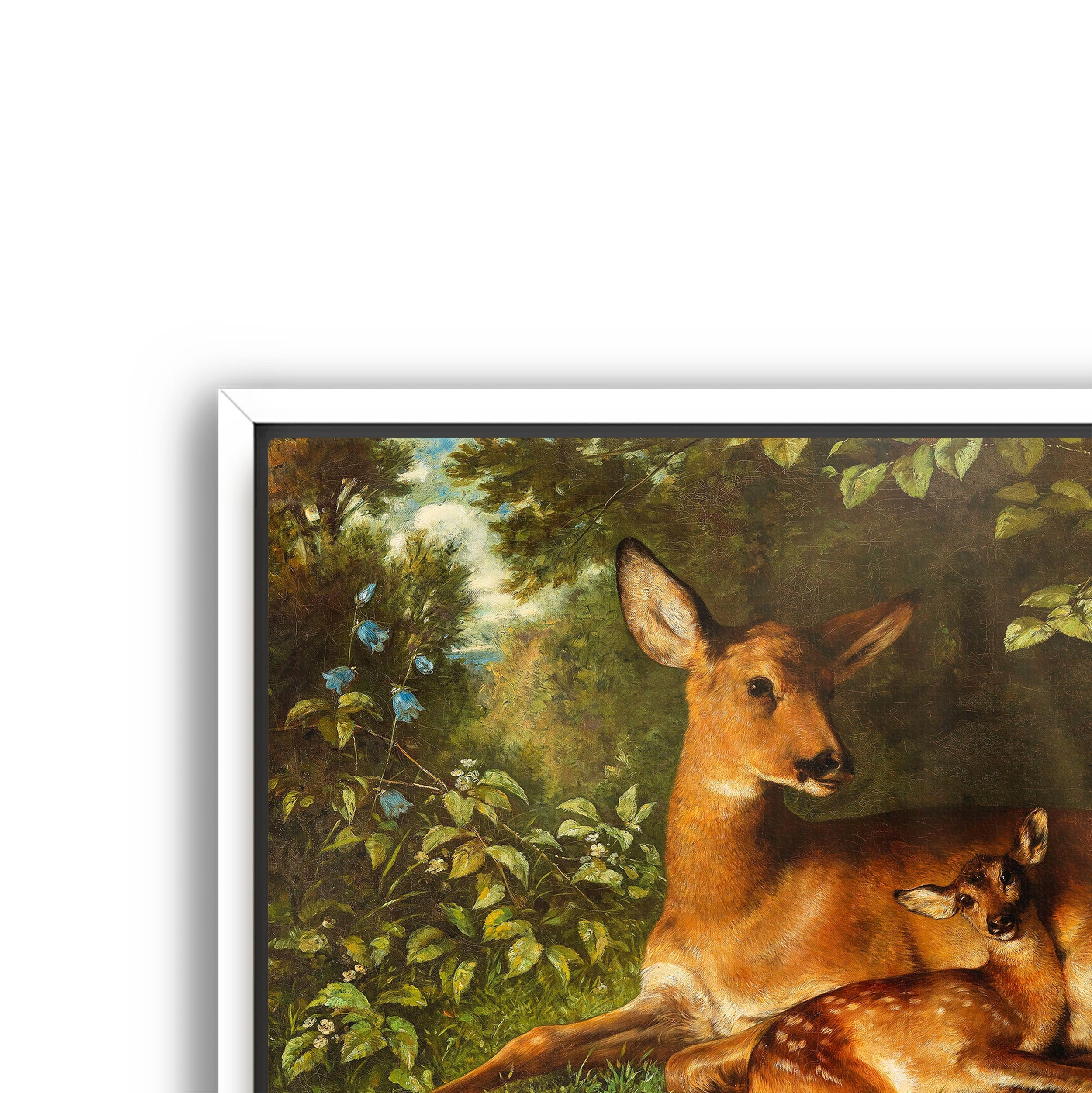 a doe with fawn