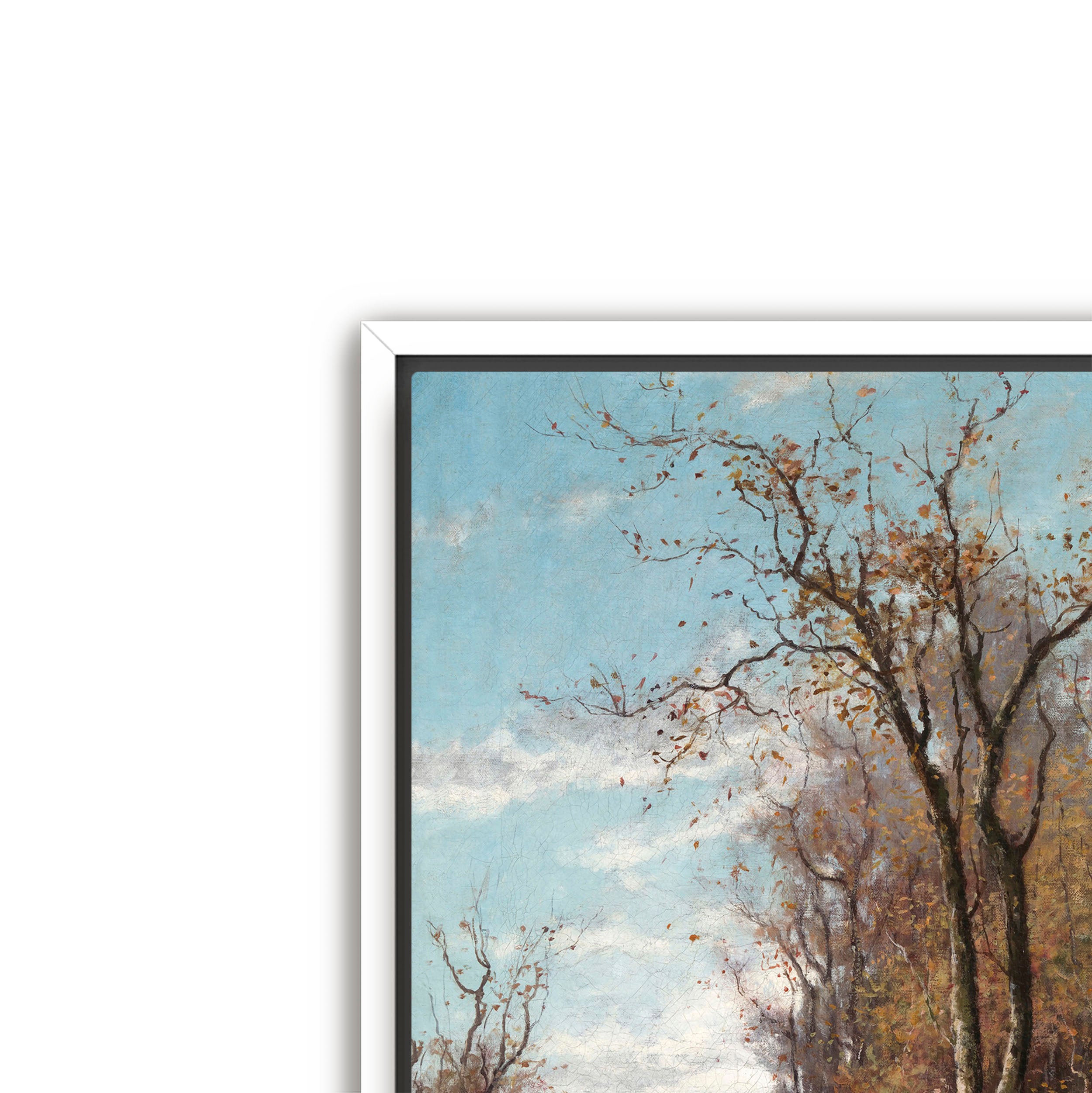autumn landscape