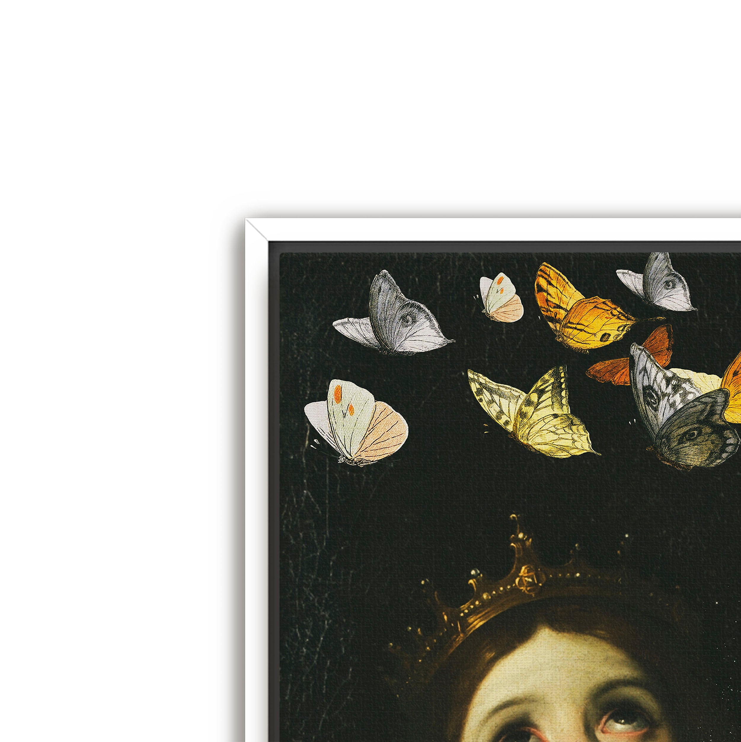 butterfly princess