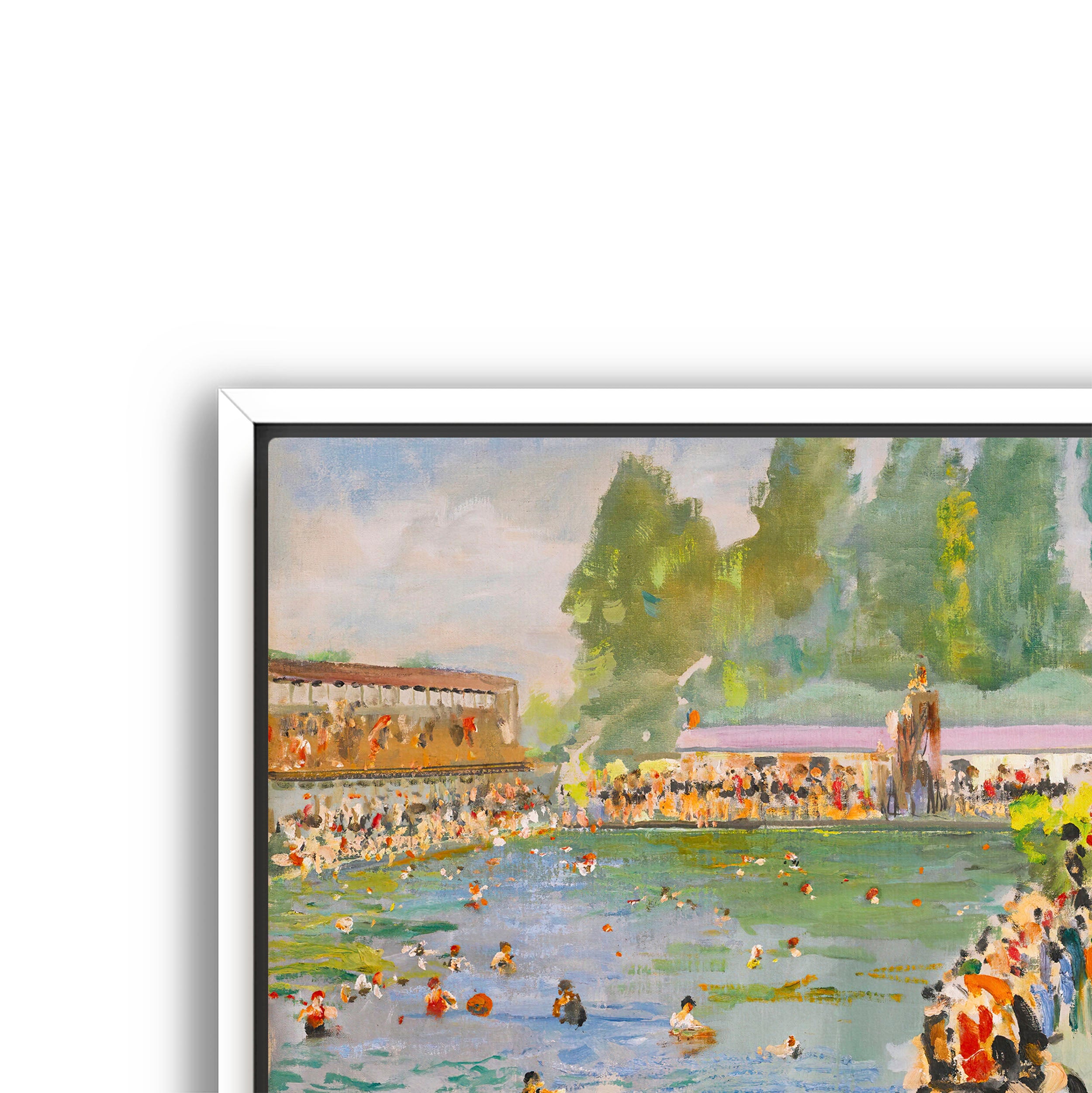 a summer swim