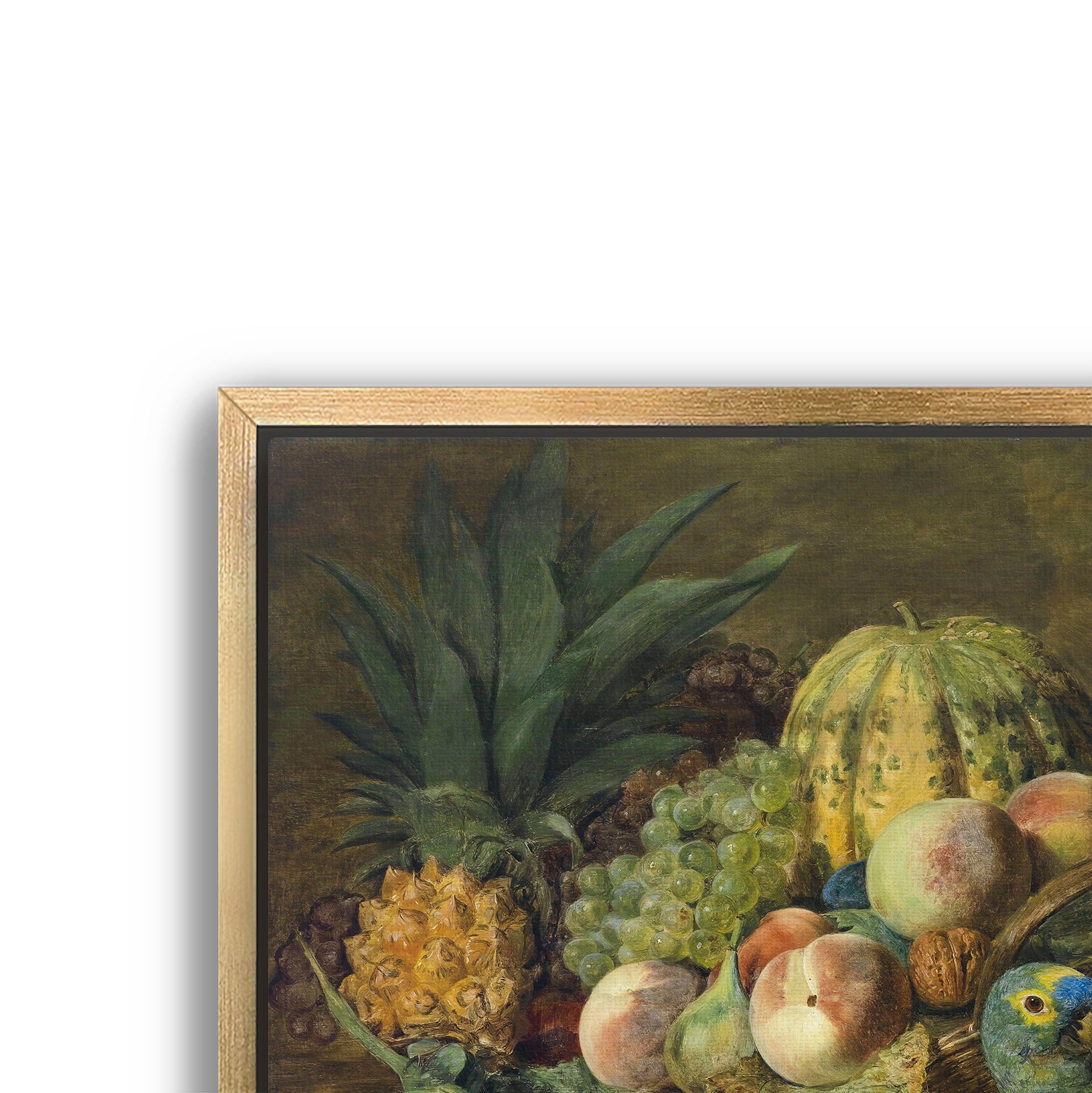 fruit with parrot