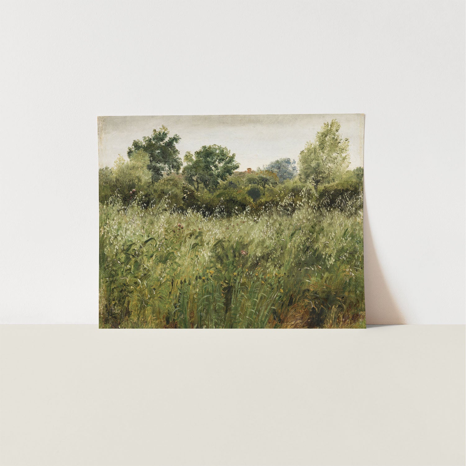 oat field