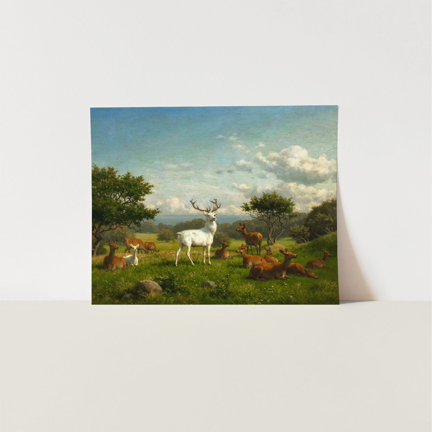 the white stag