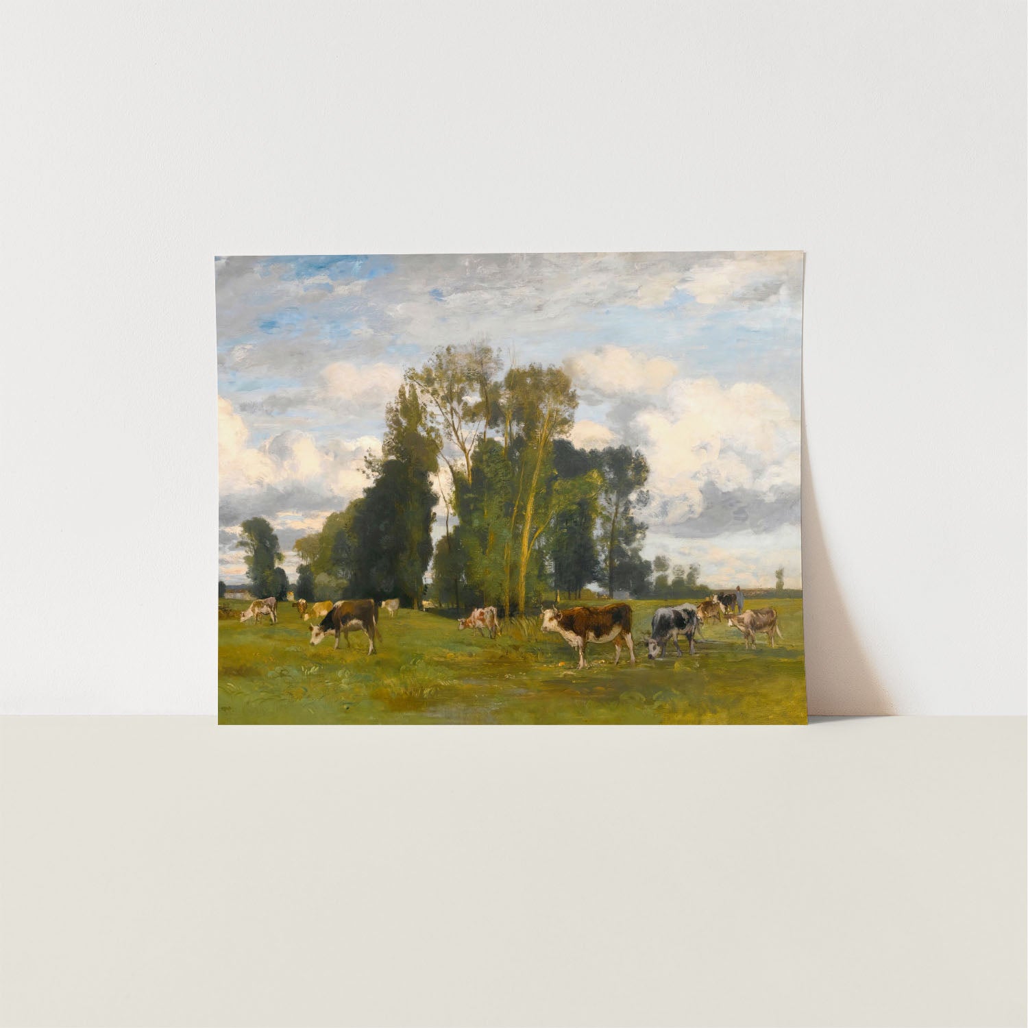 herd in the meadow