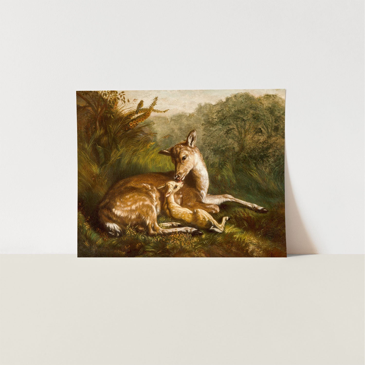 mother with fawn