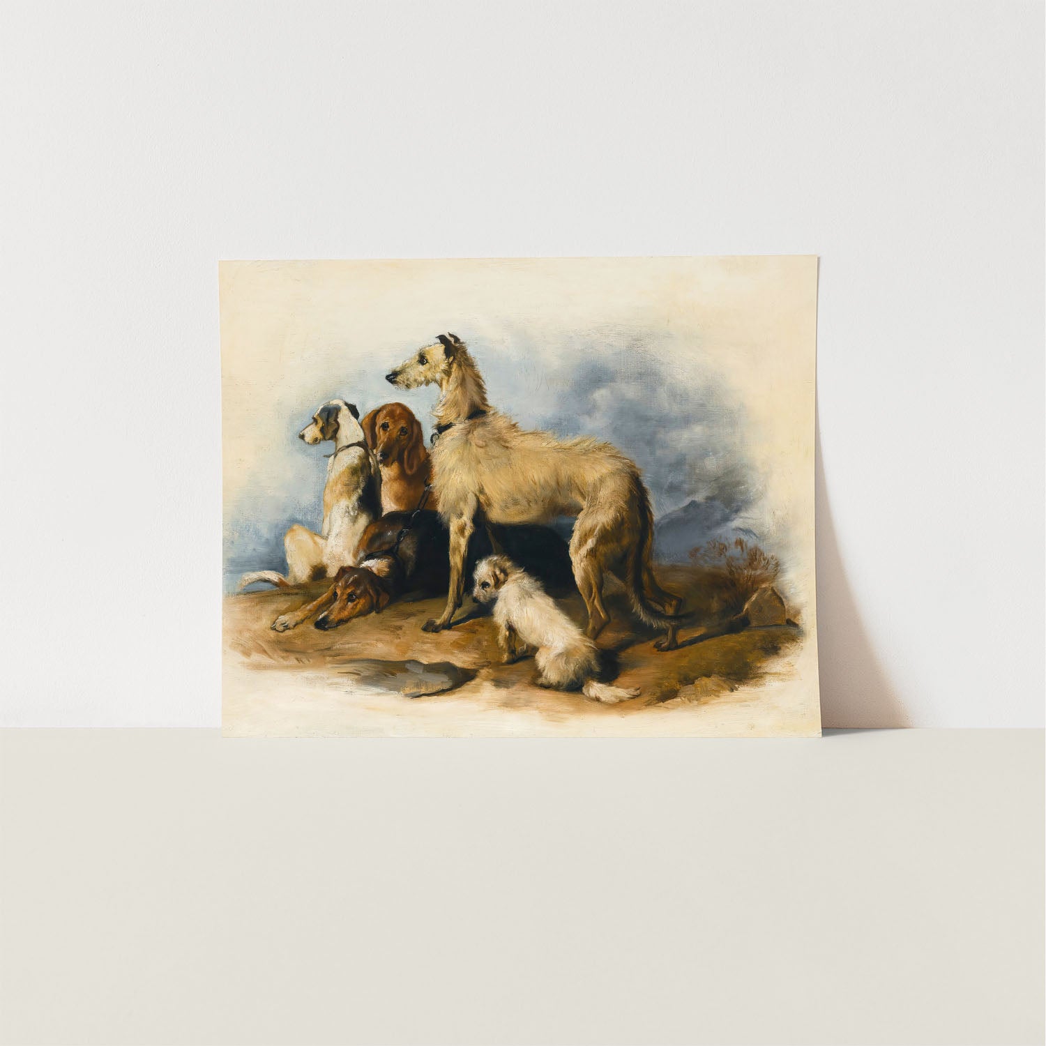 highland dogs