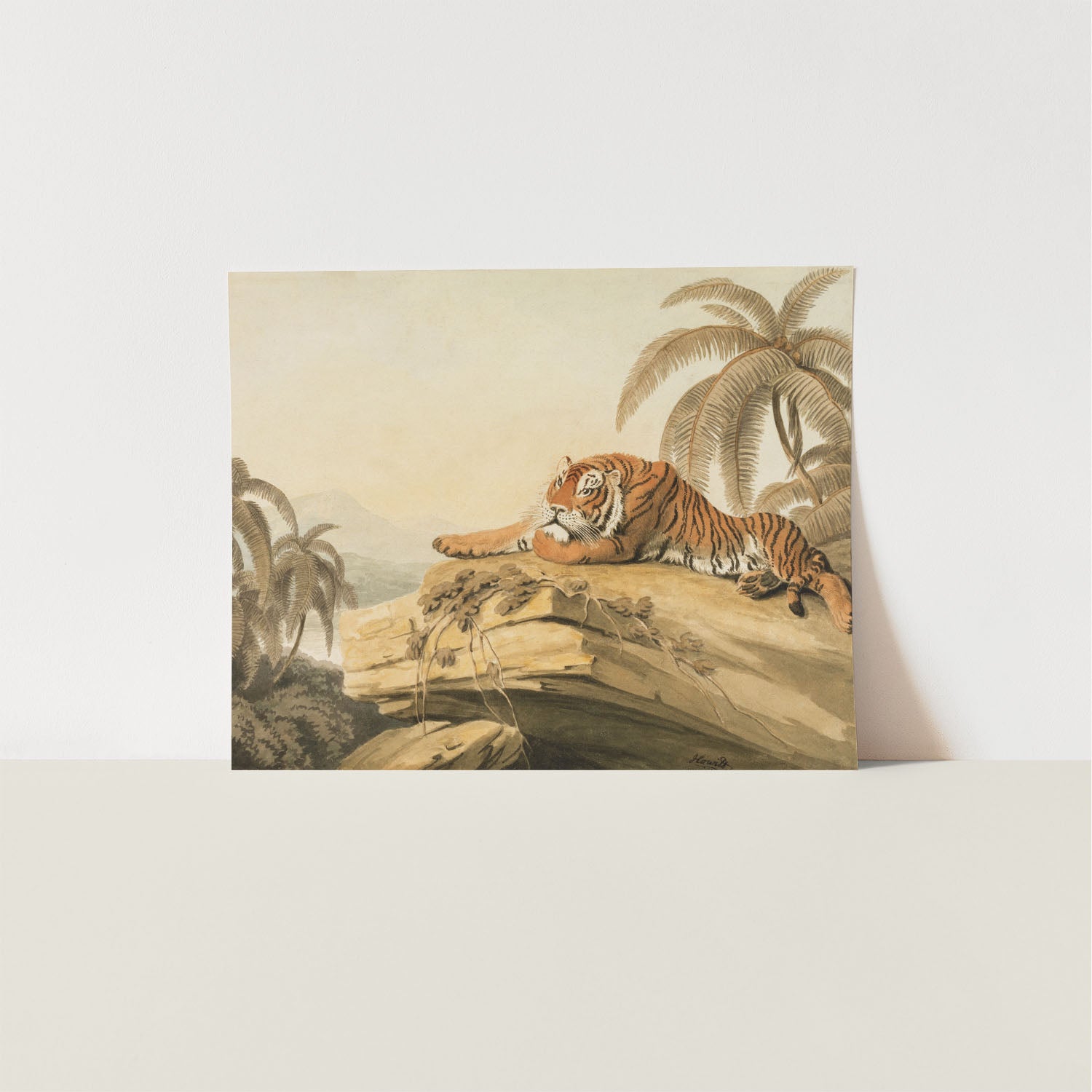 tiger at rest
