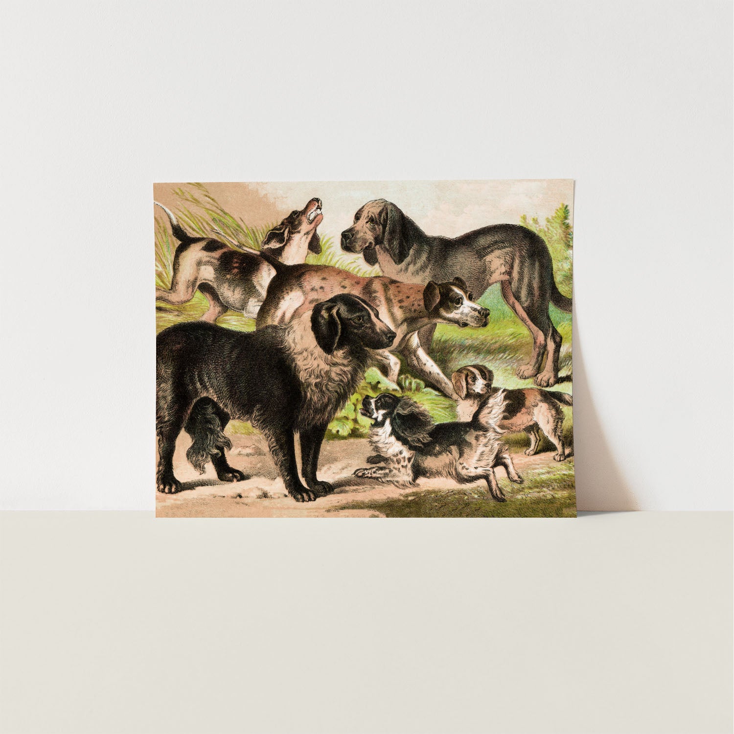 the pack