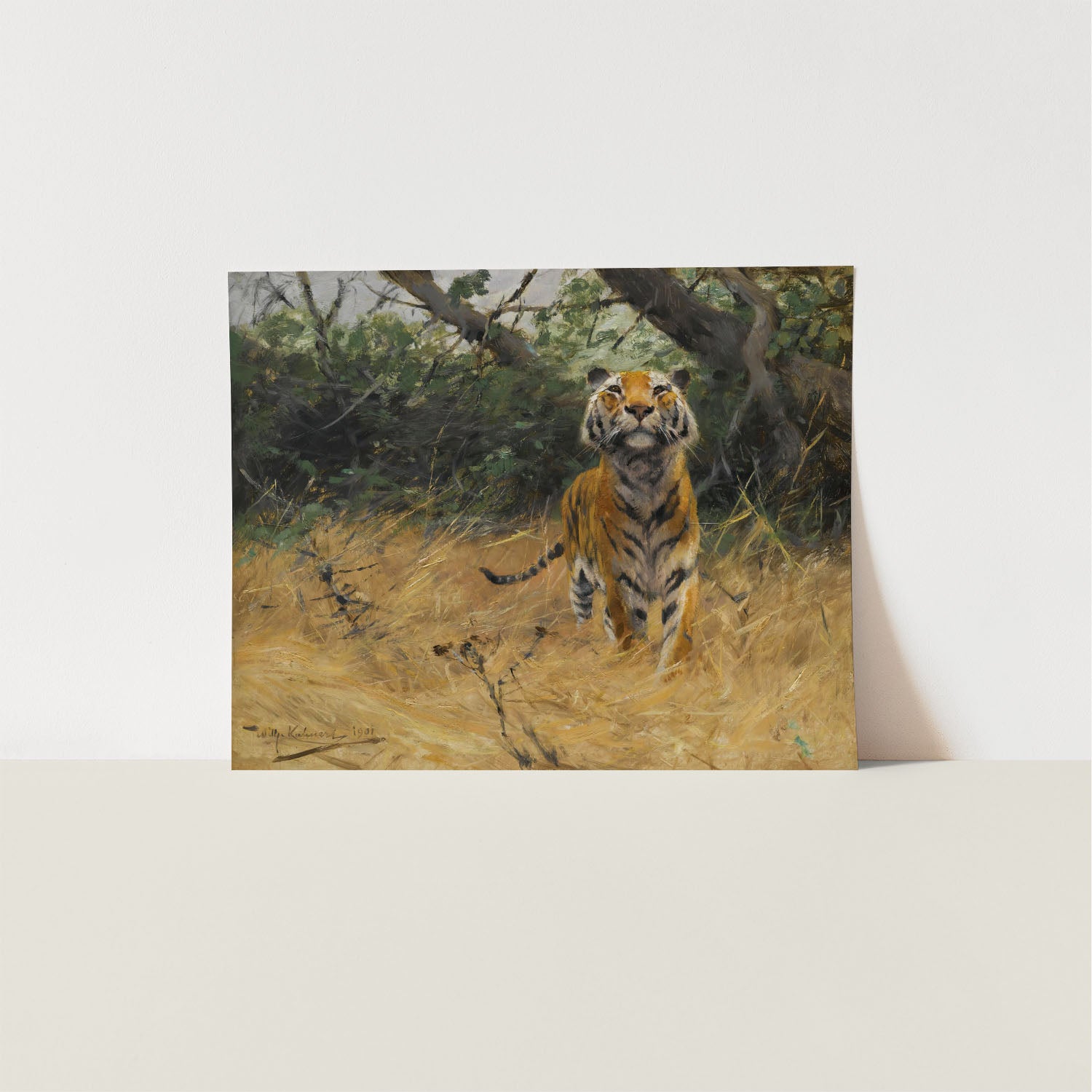 tiger on the watch