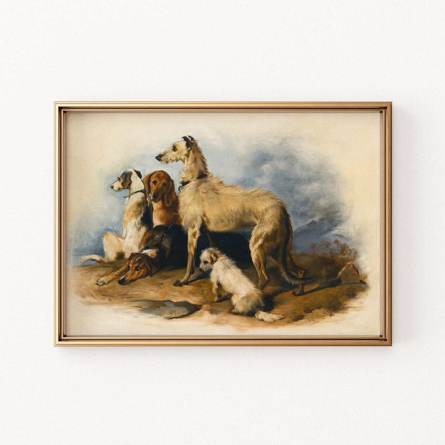 highland dogs