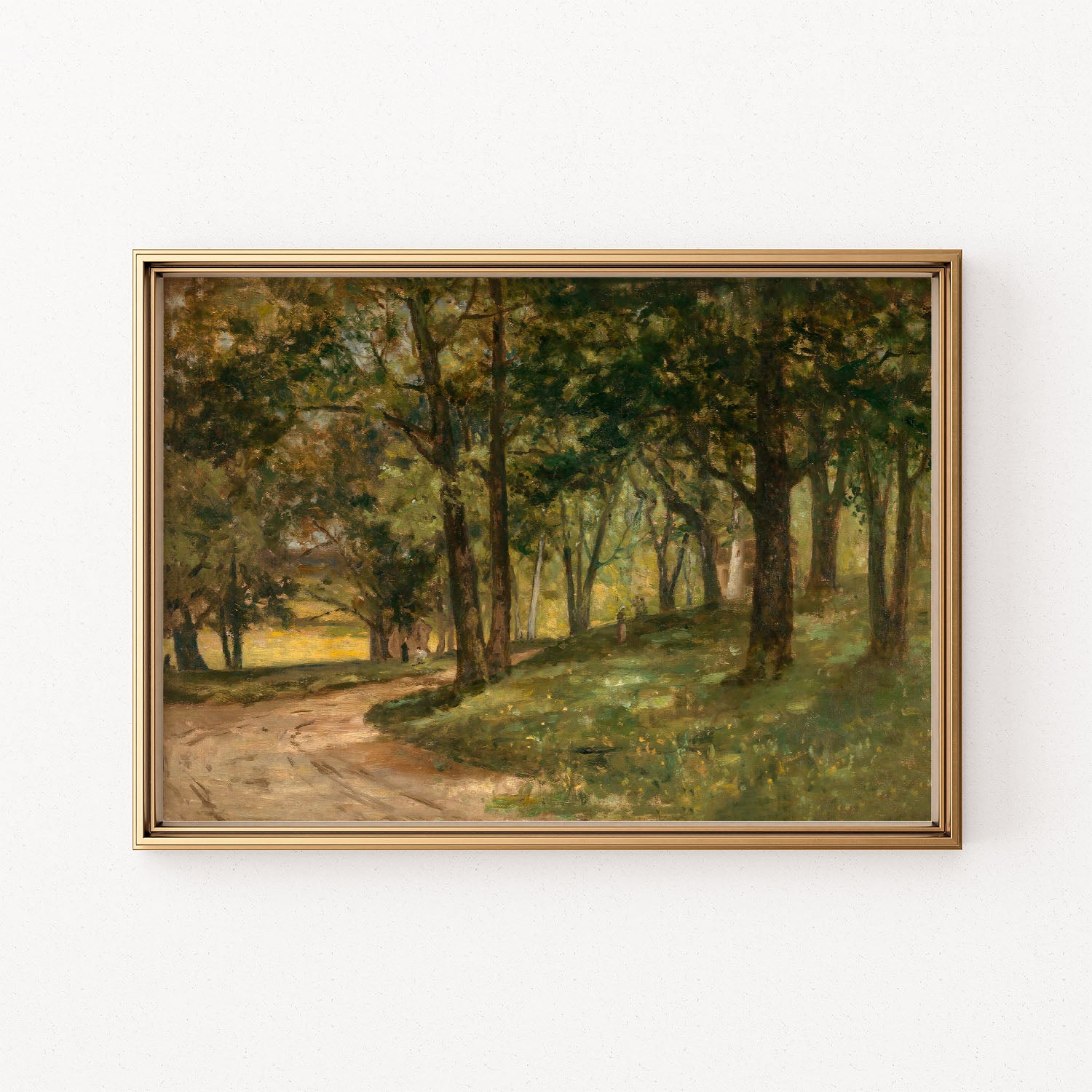 the forest road