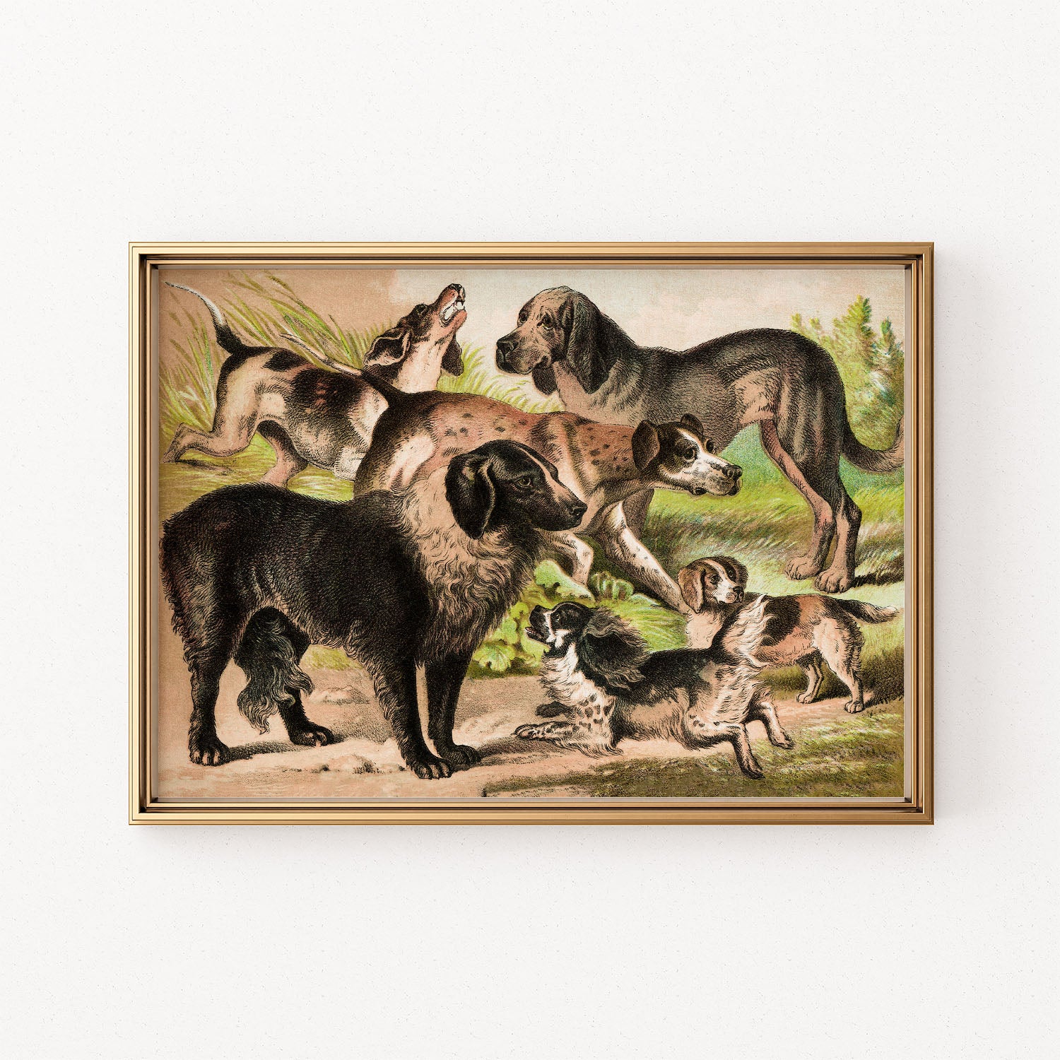 the pack