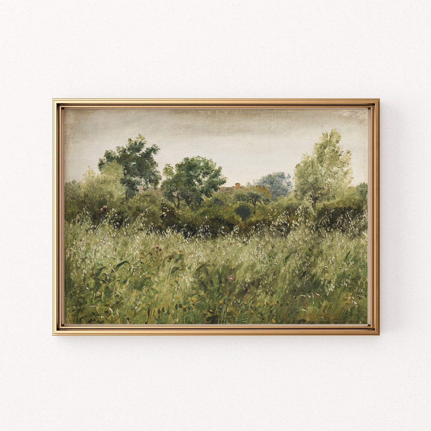 oat field