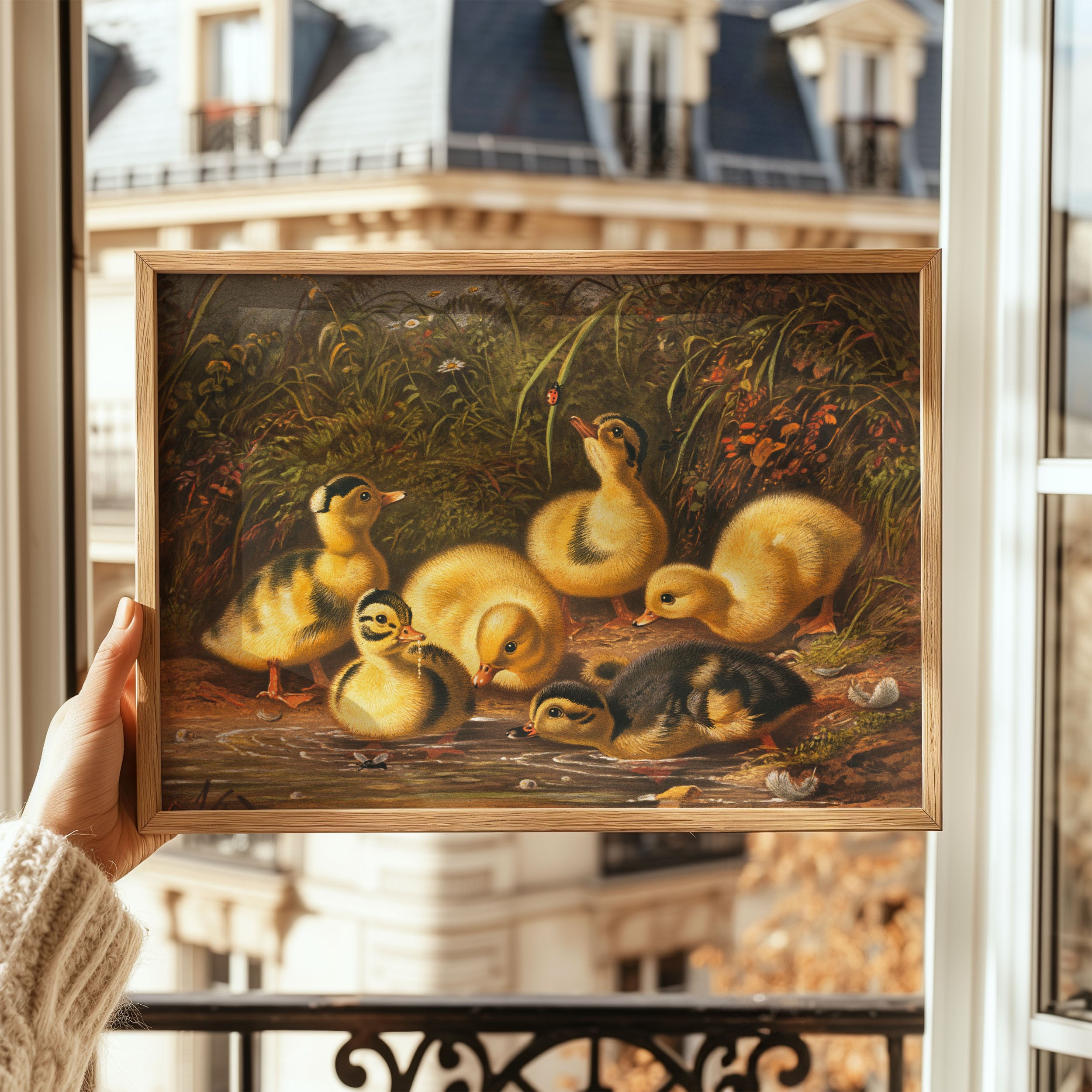 the ducklings