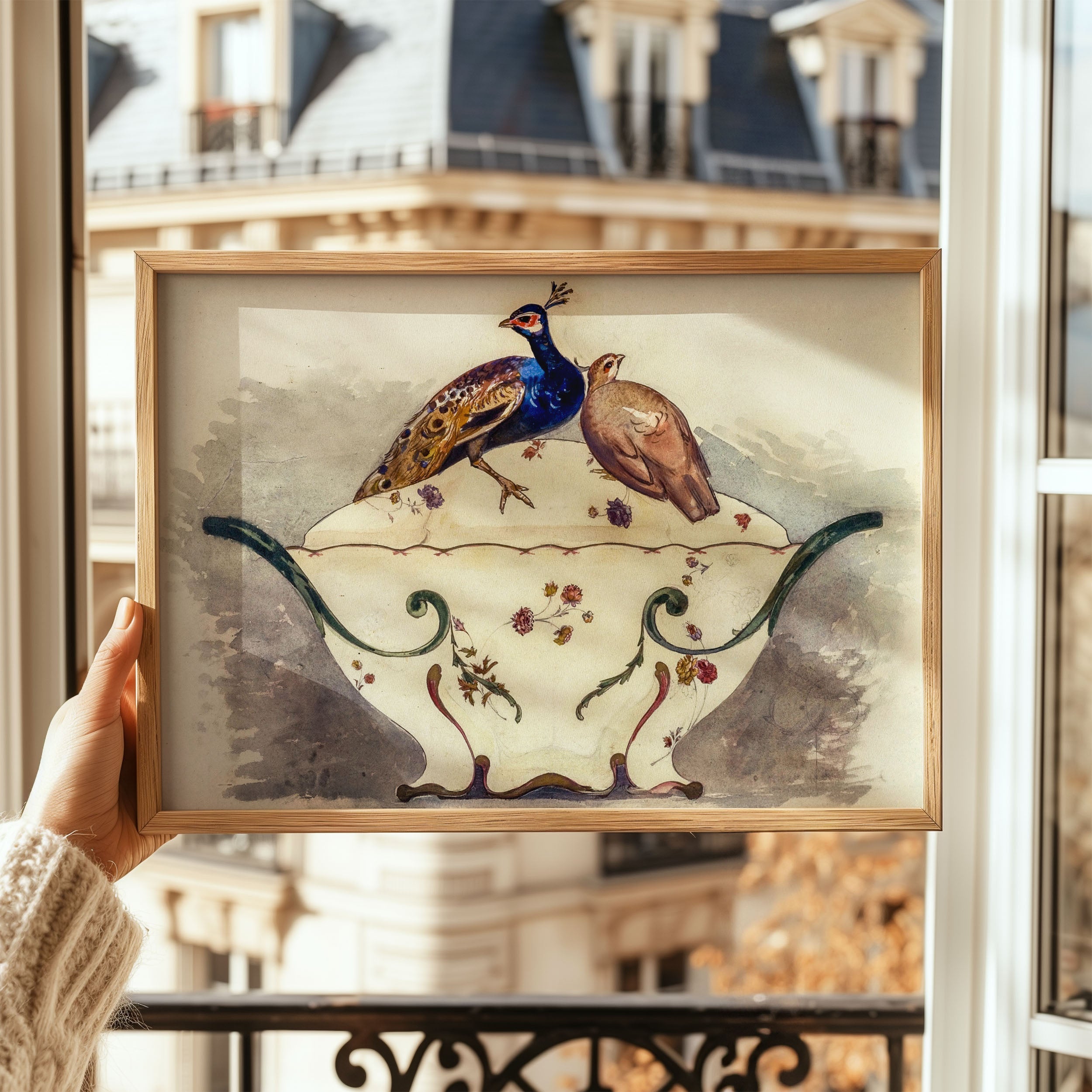 fine pheasant