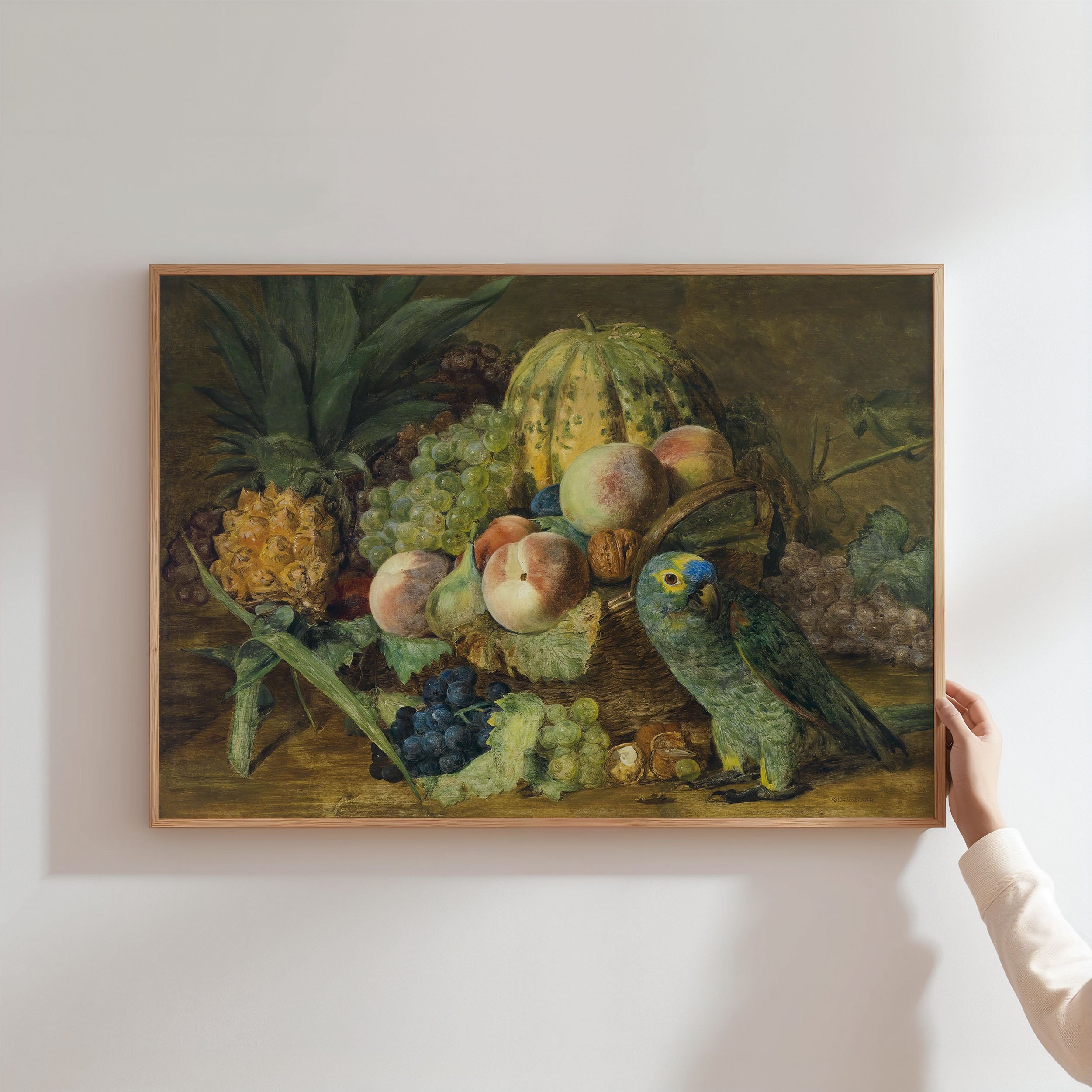 fruit with parrot