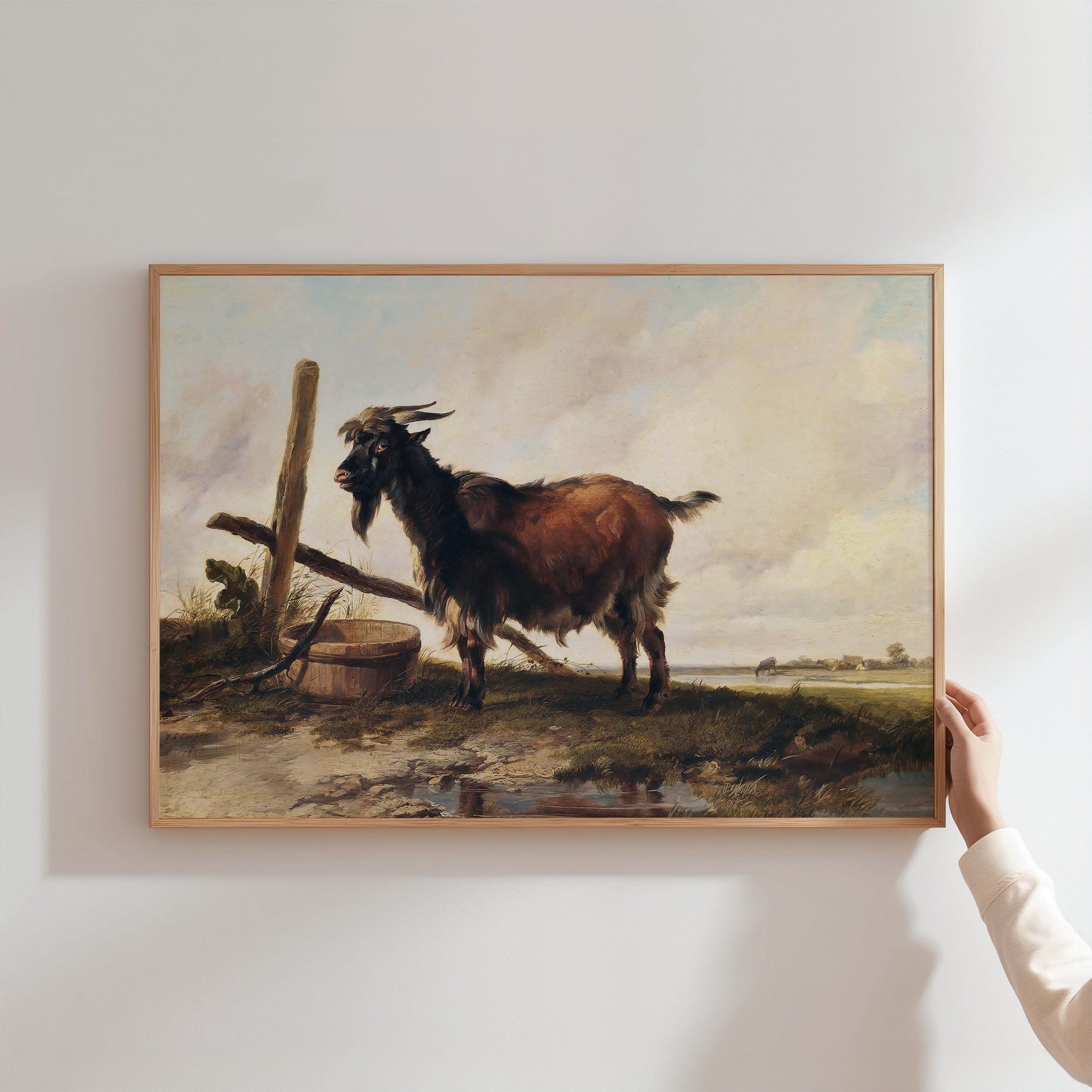goat in the landscape