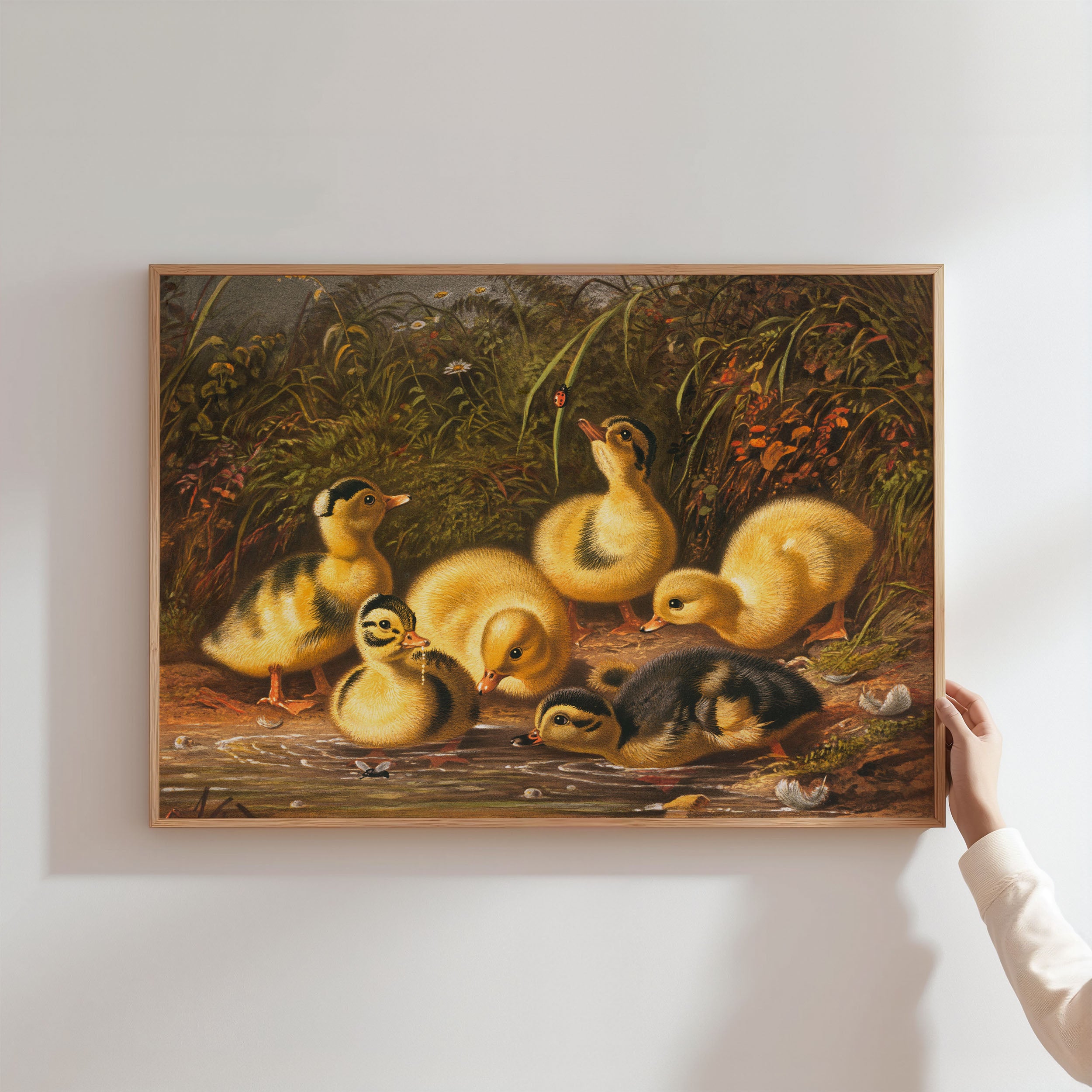 the ducklings