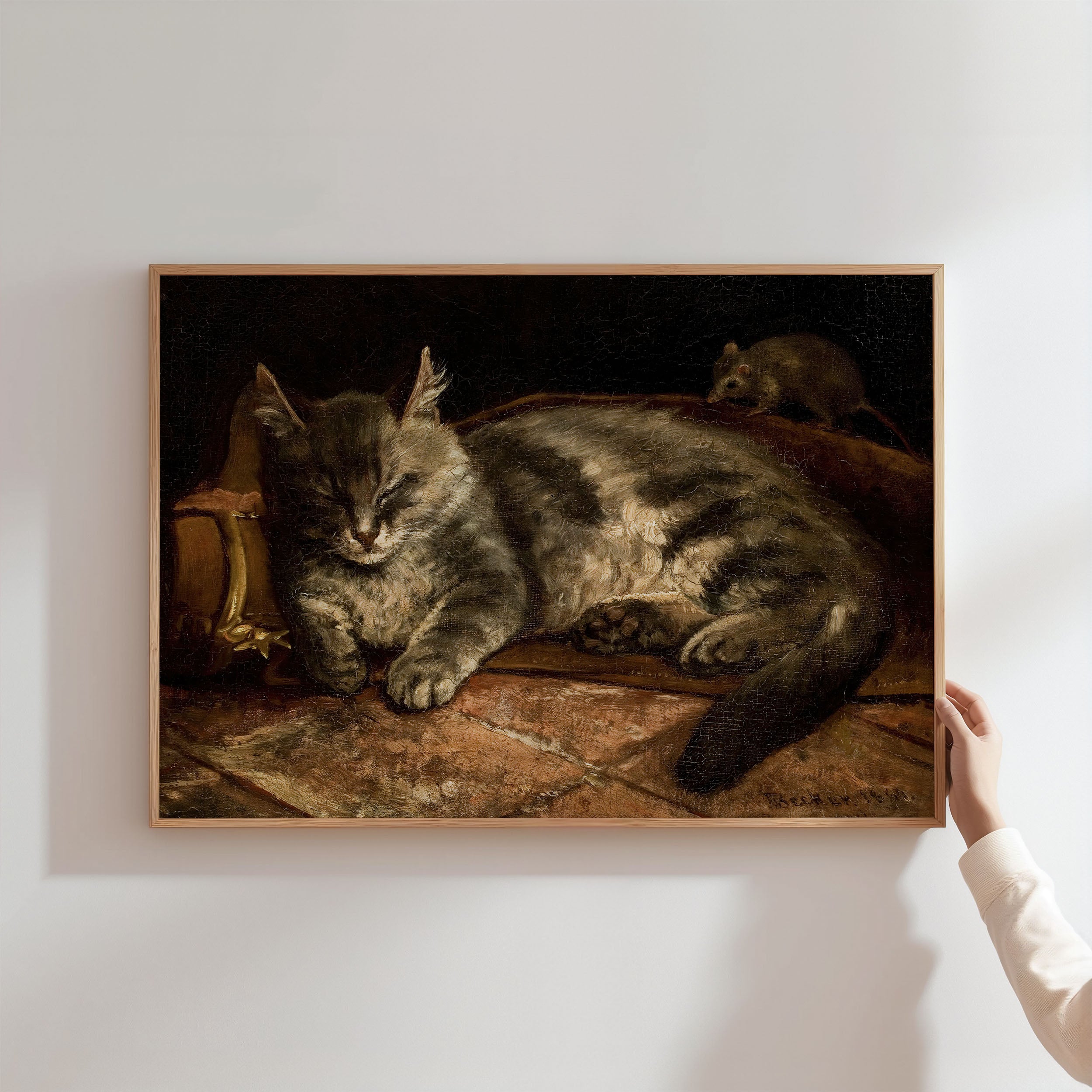 cat and mouse