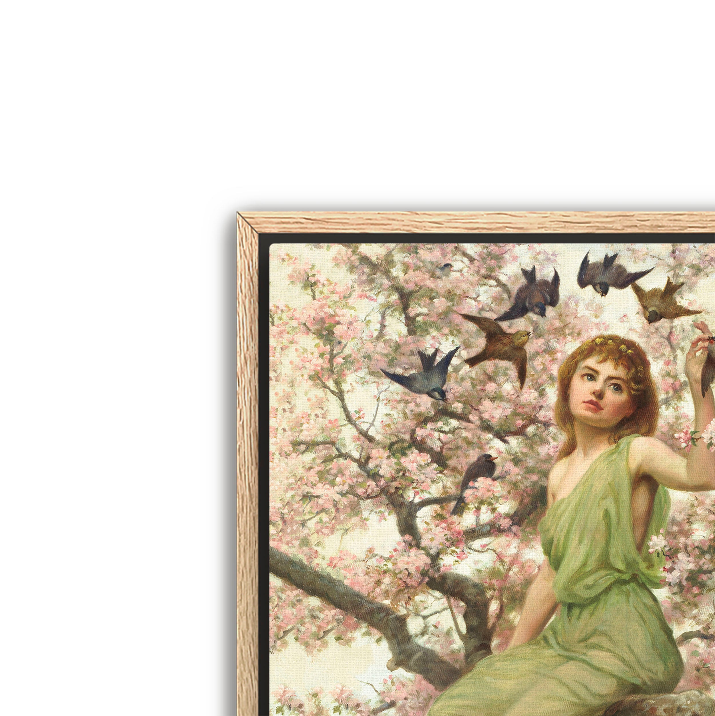 birds of spring