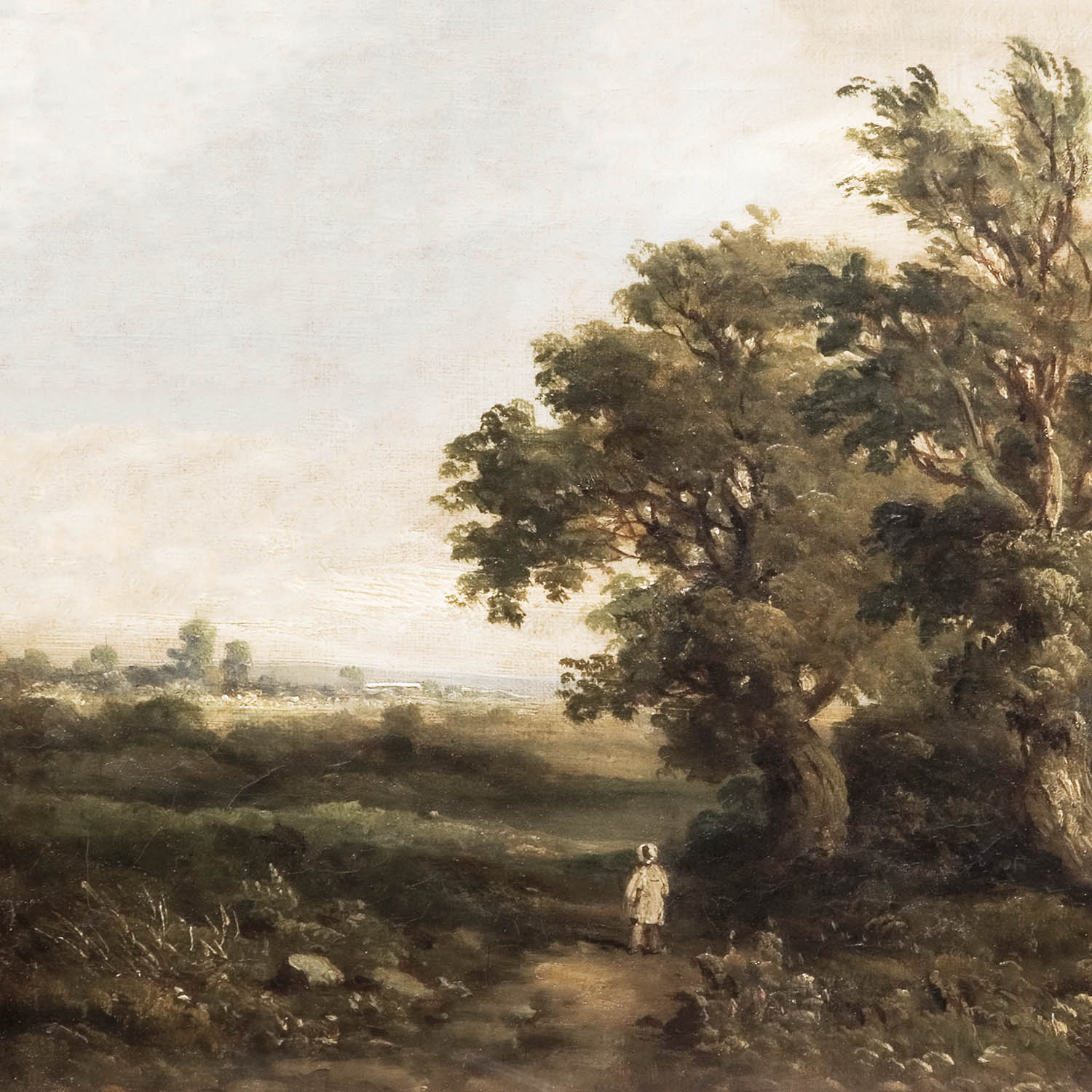 landscape with boy