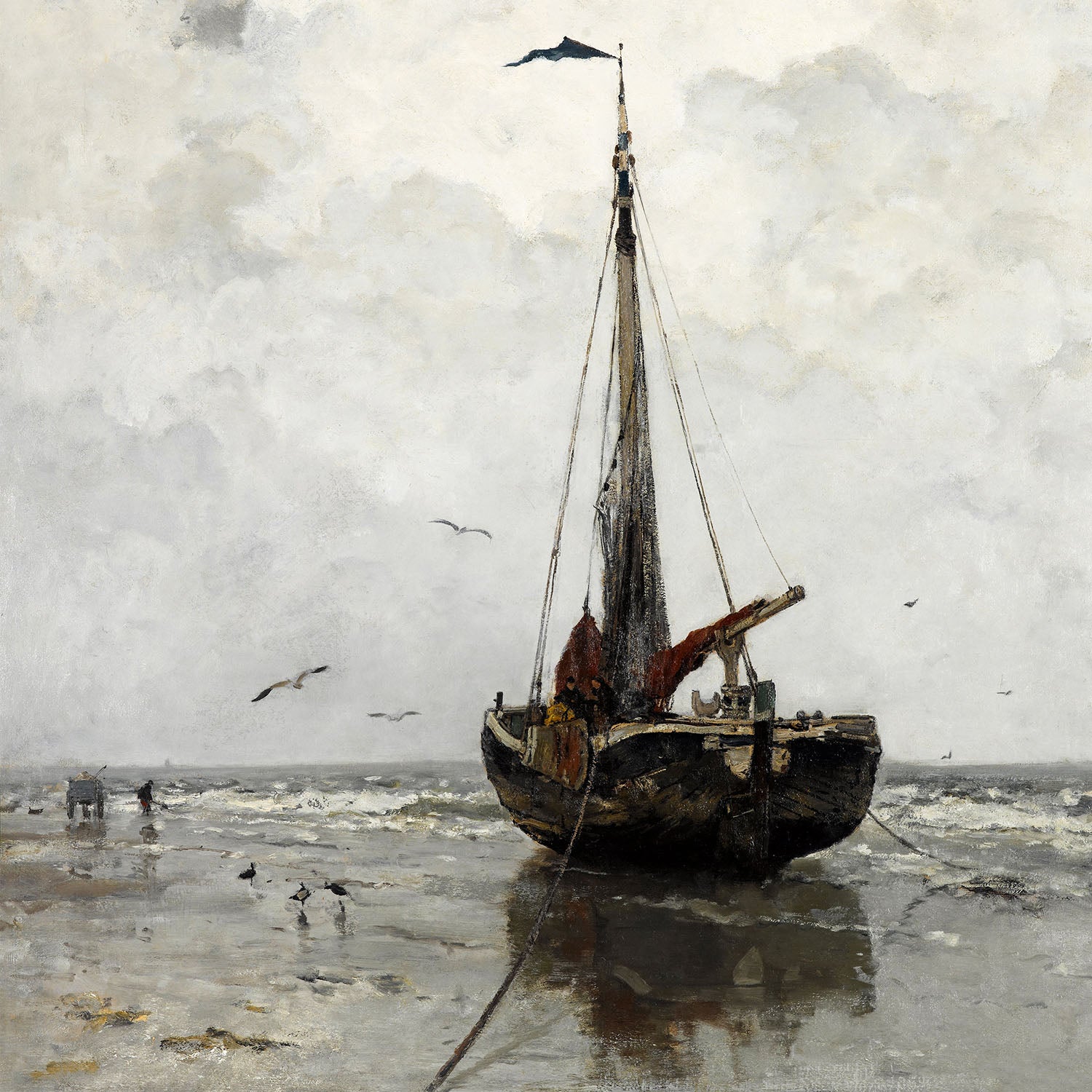 morning sea mist