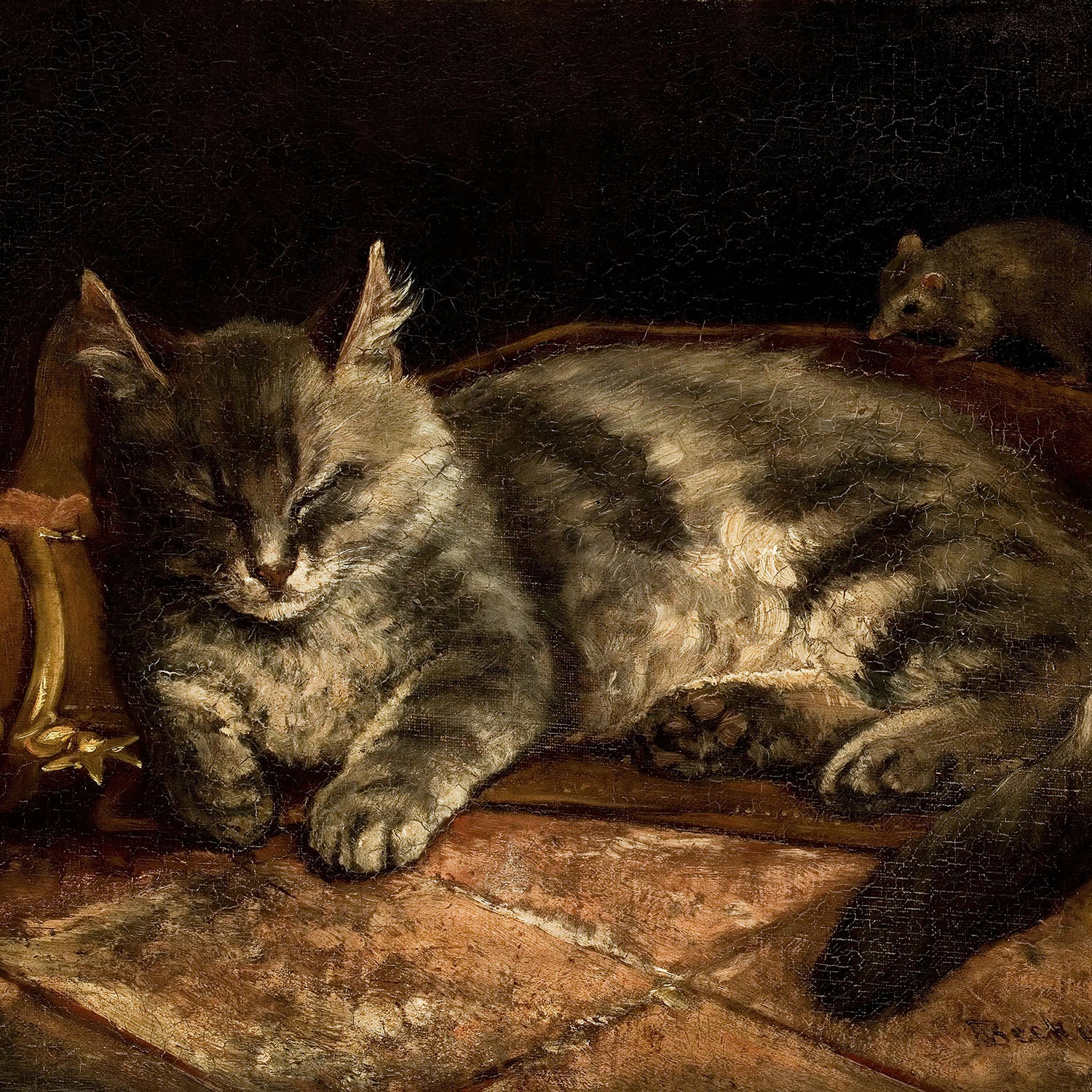 cat and mouse