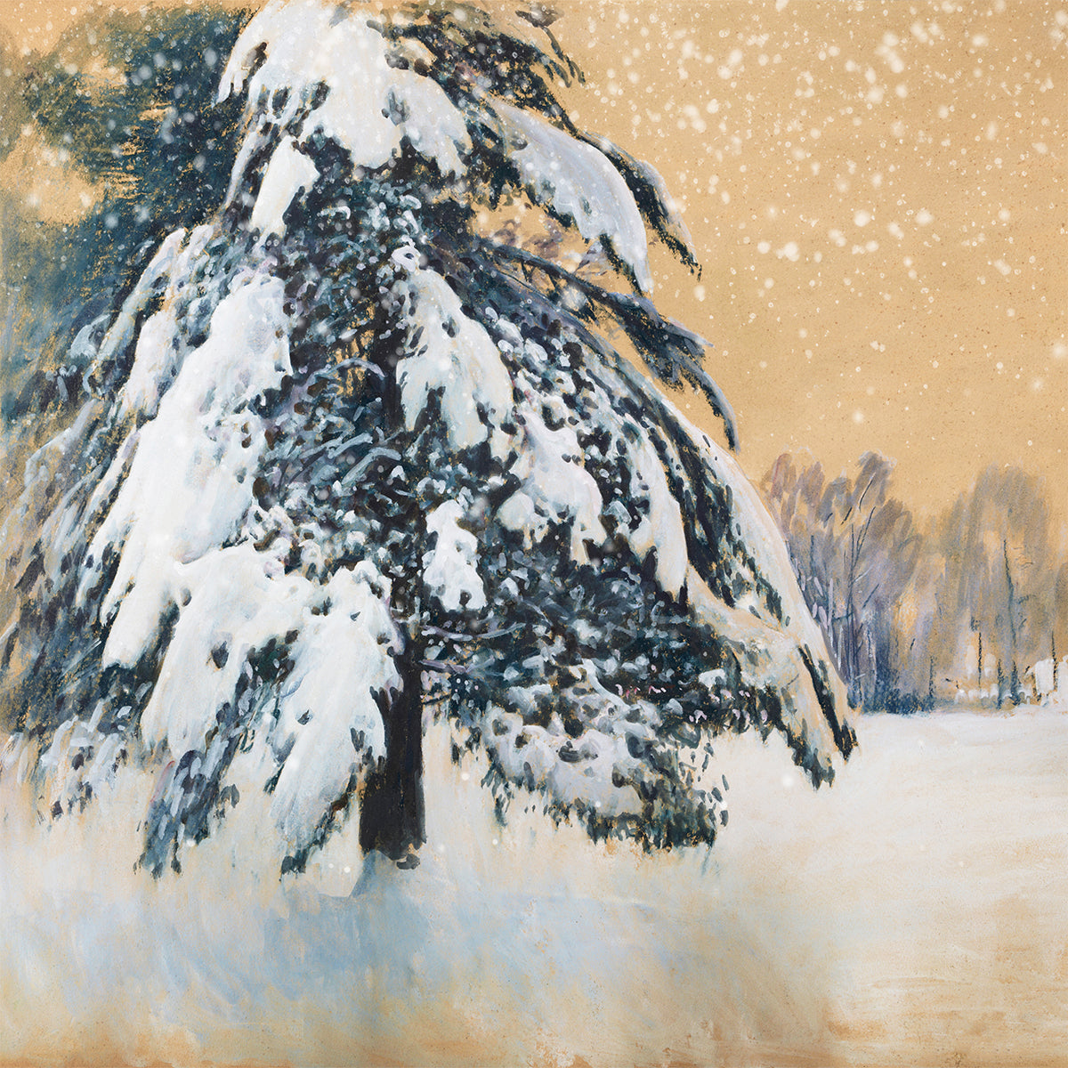 big pine