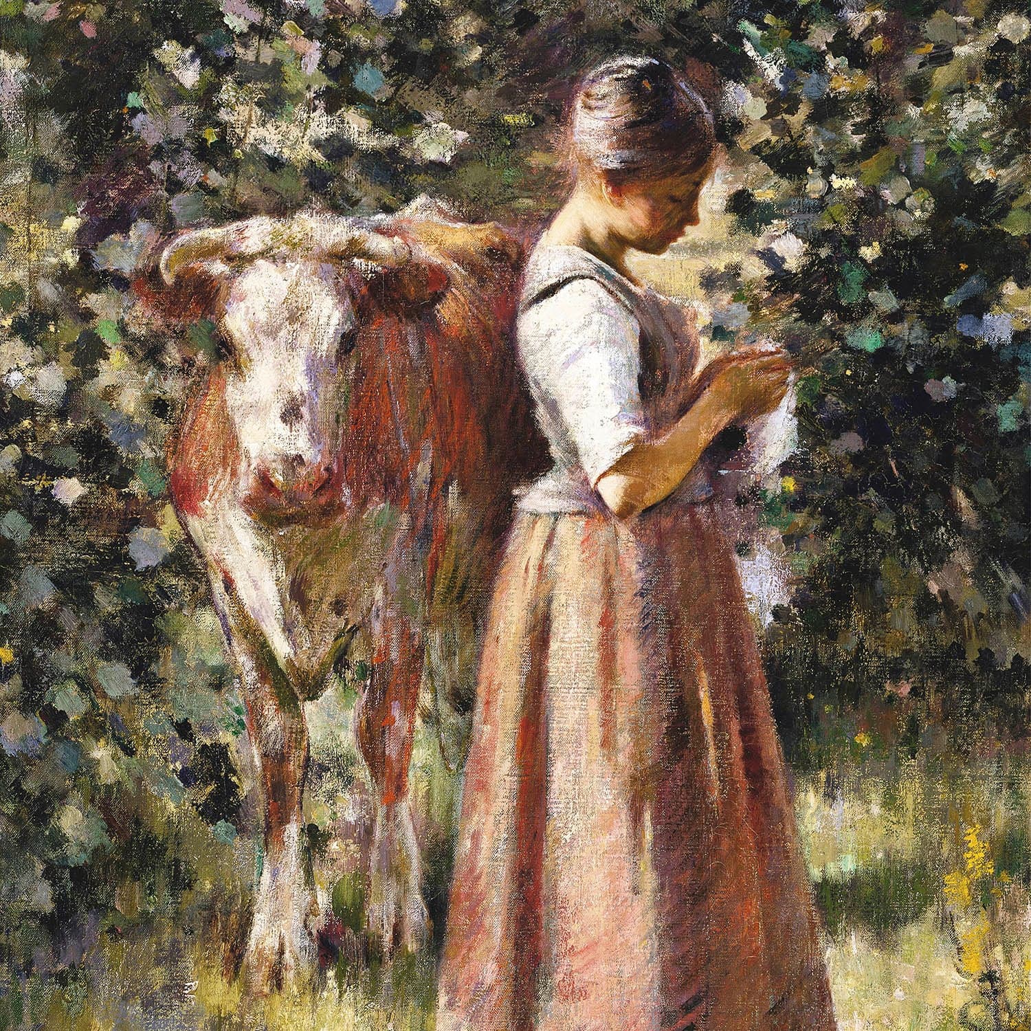 la vachére