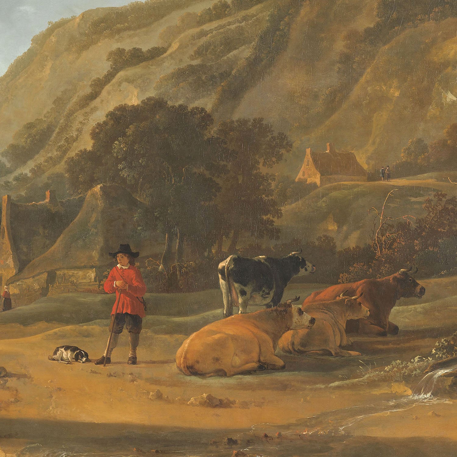 hillside cattle