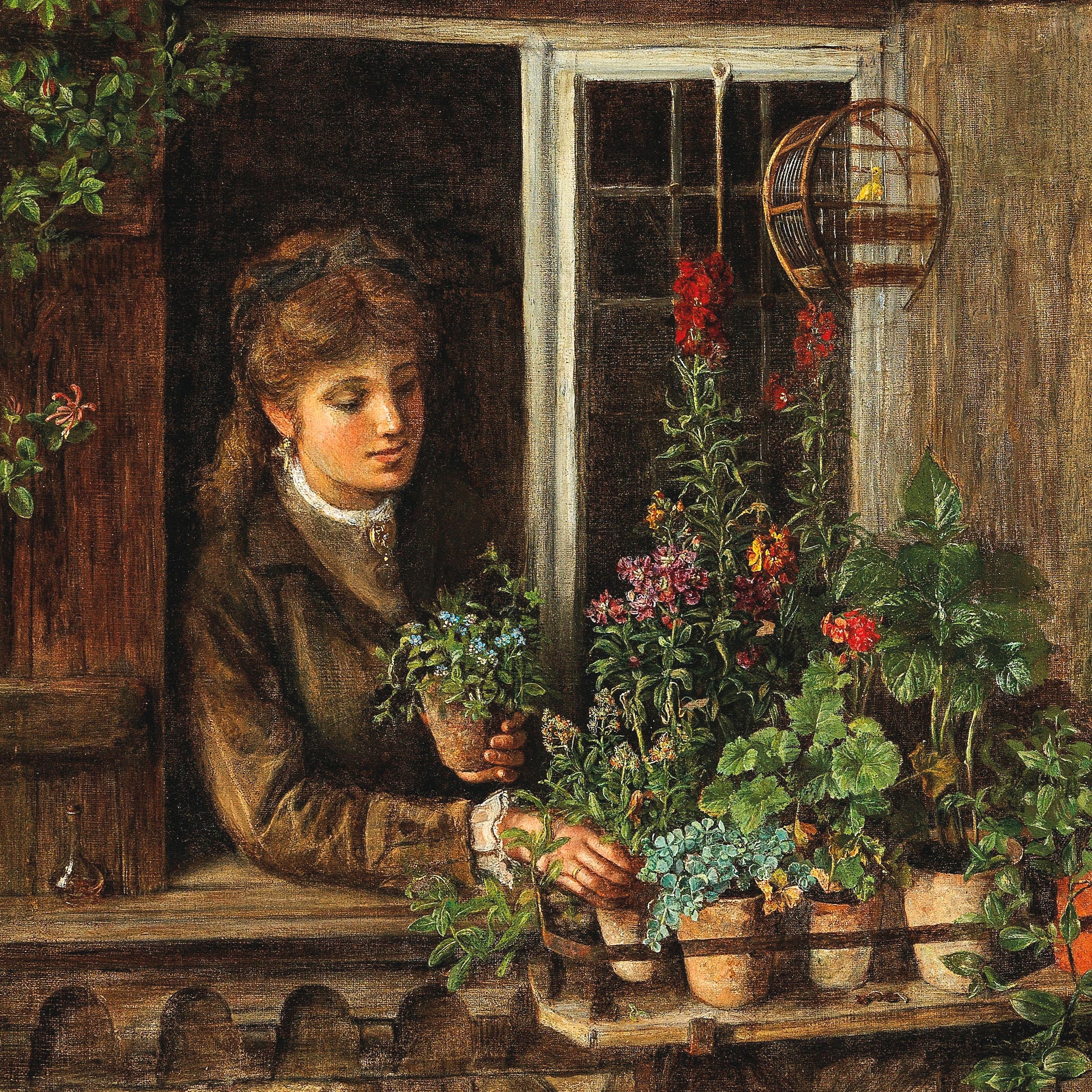spring window