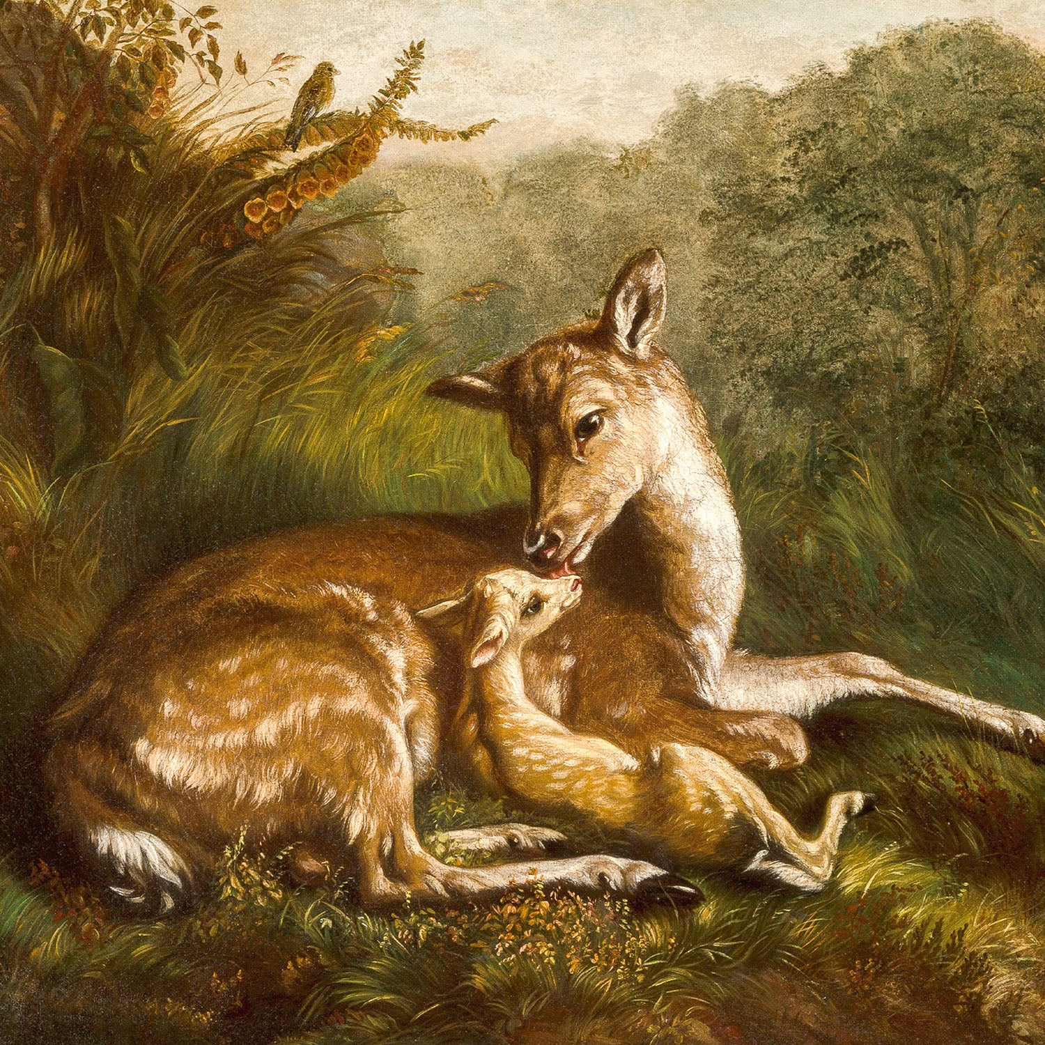 mother with fawn