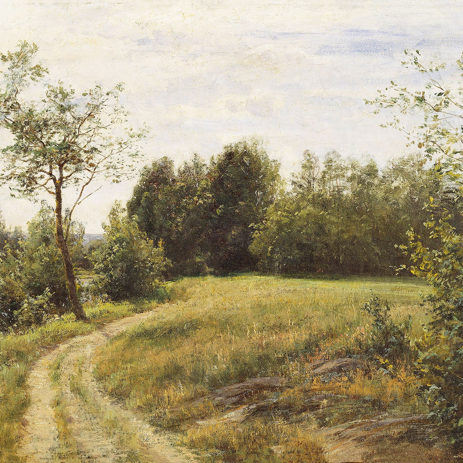 the path