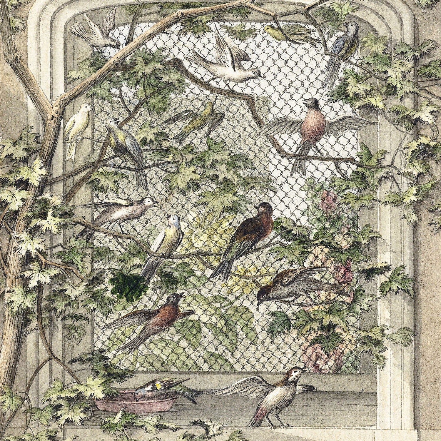 the aviary