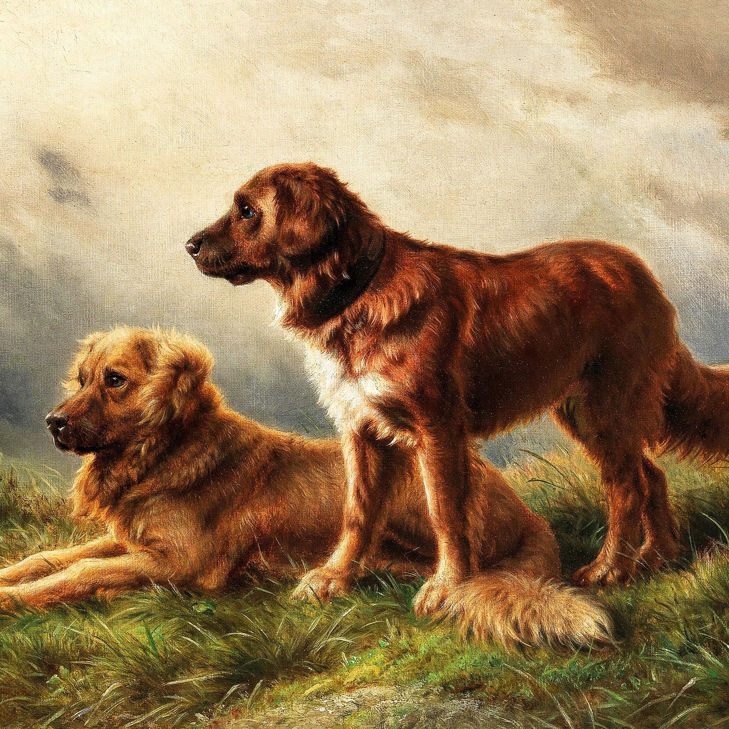 teddy and springer