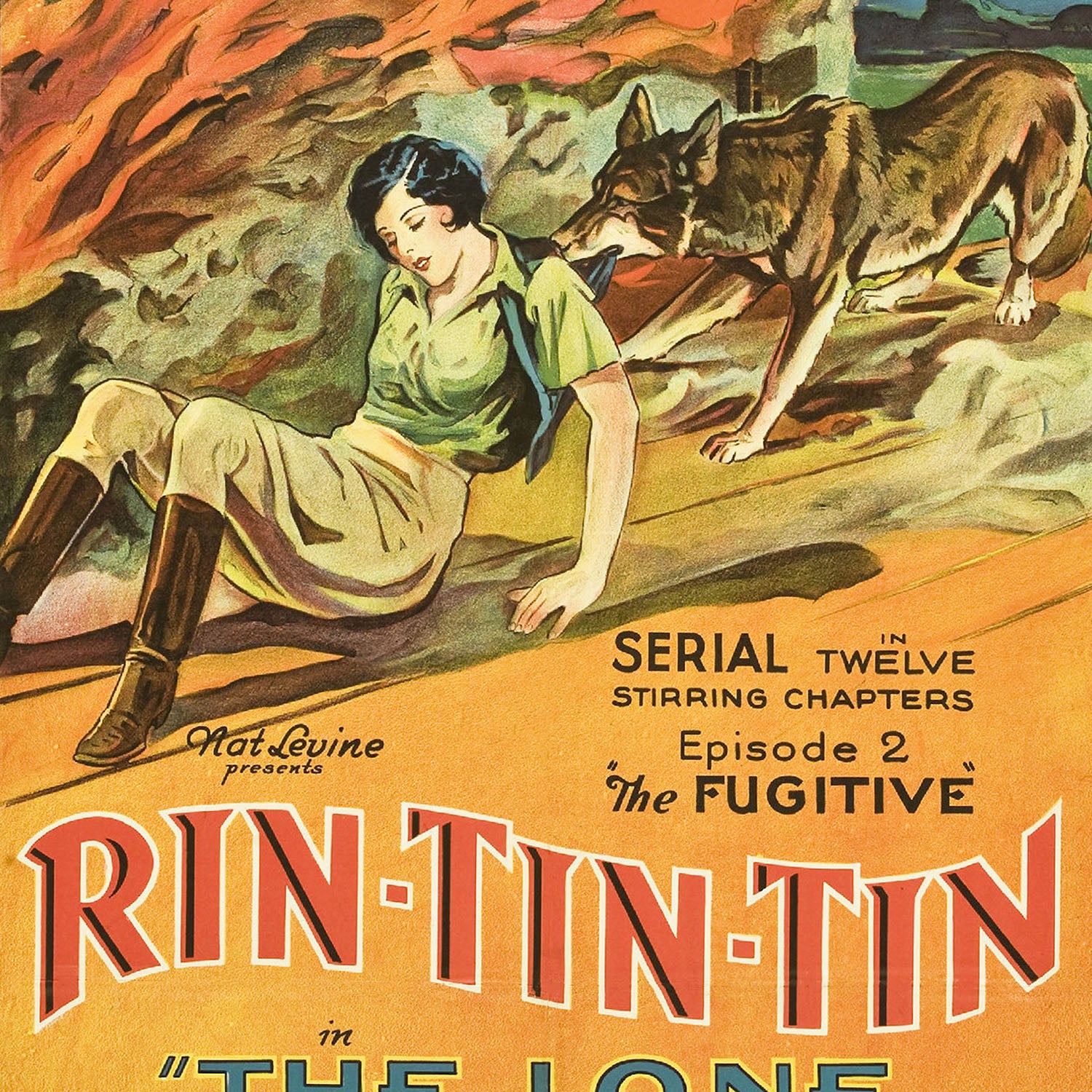rin tin tin