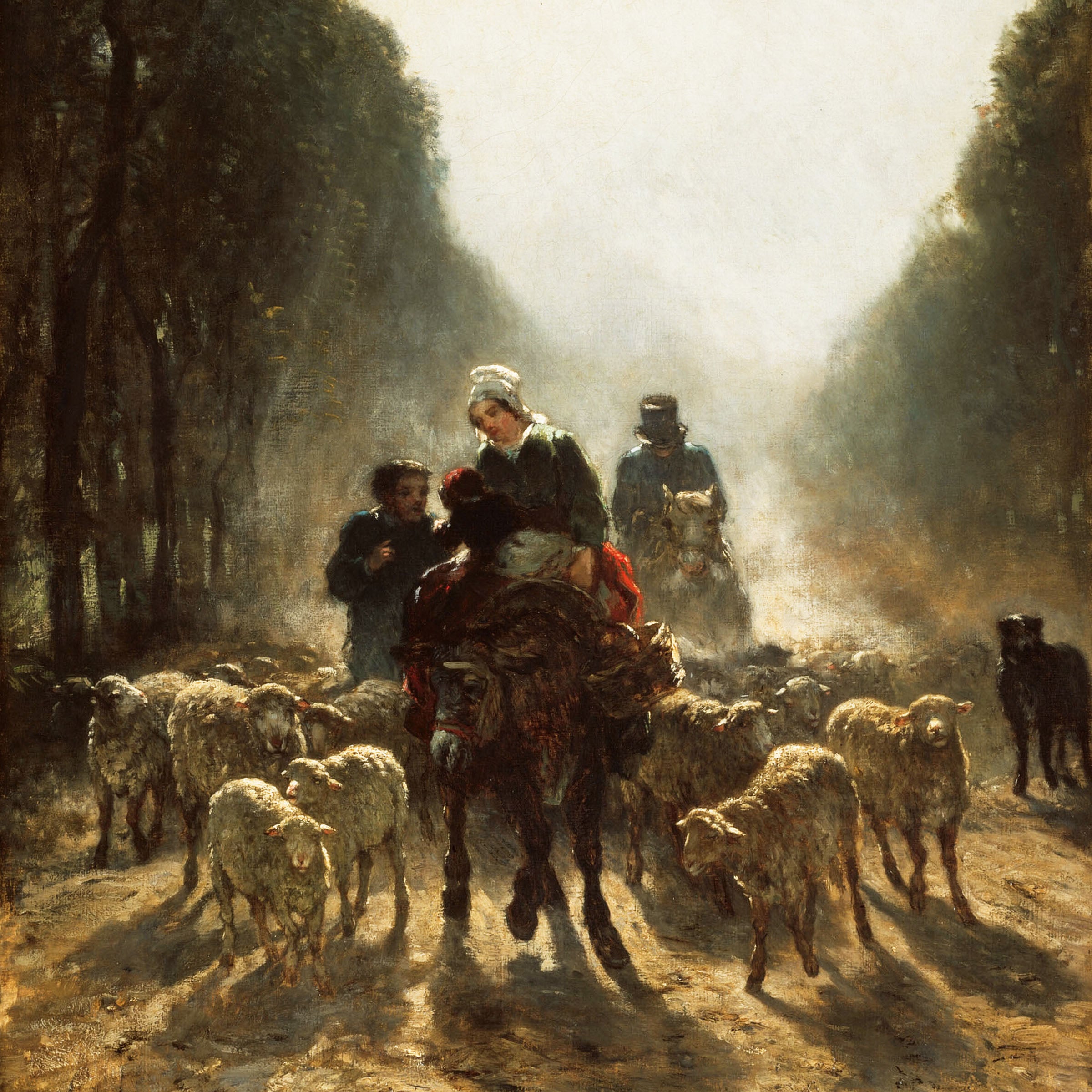 bring in the flock