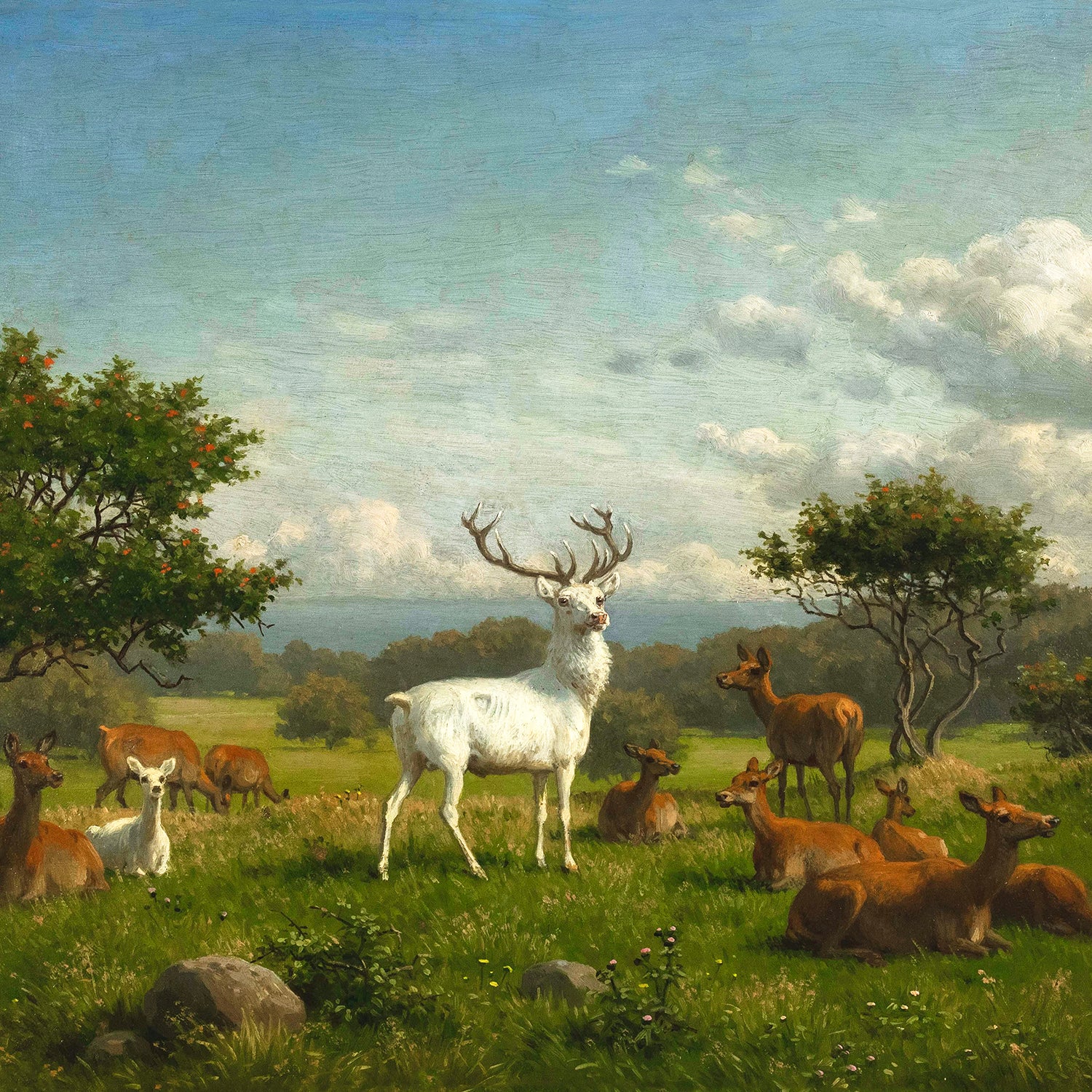 the white stag