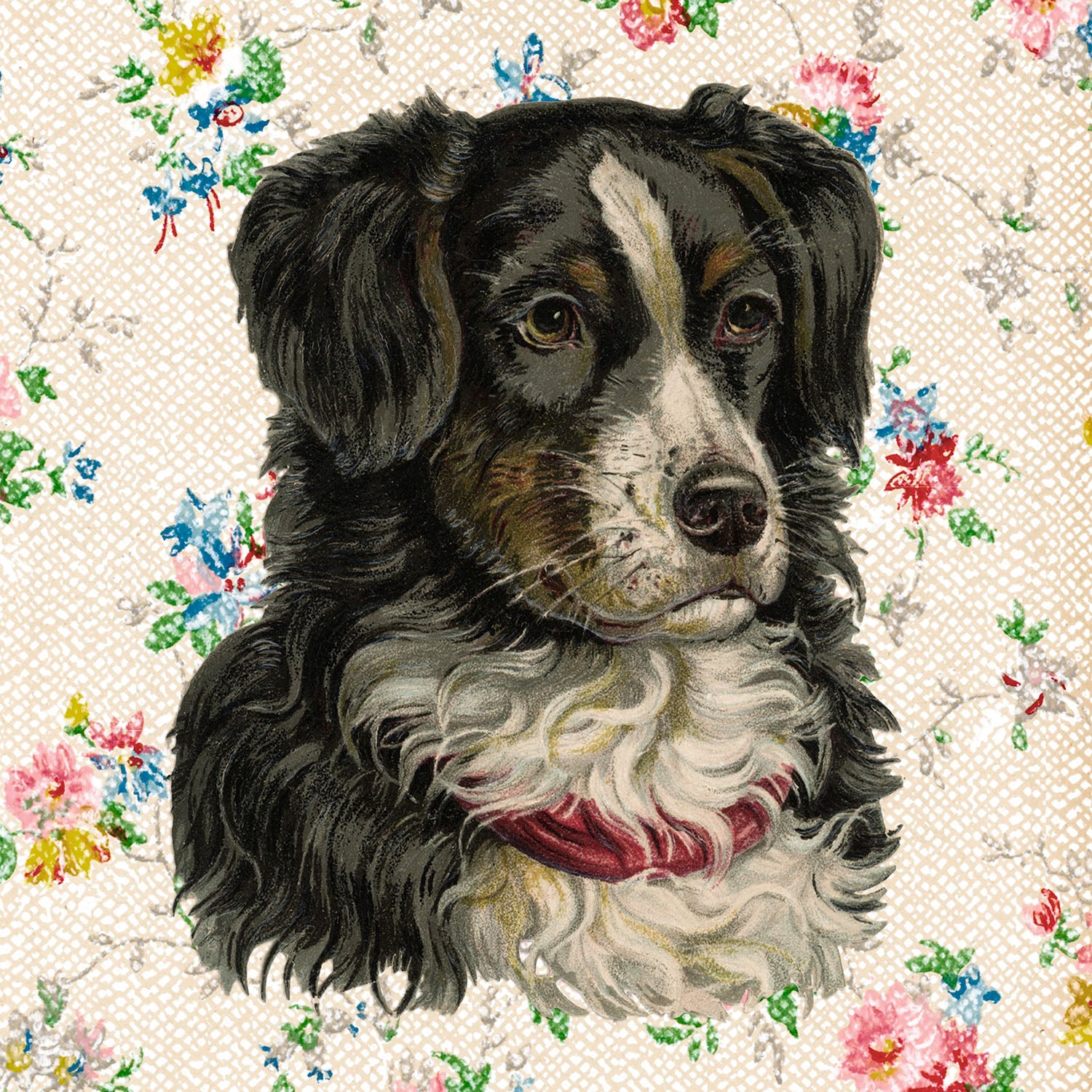 puppy portrait: diego