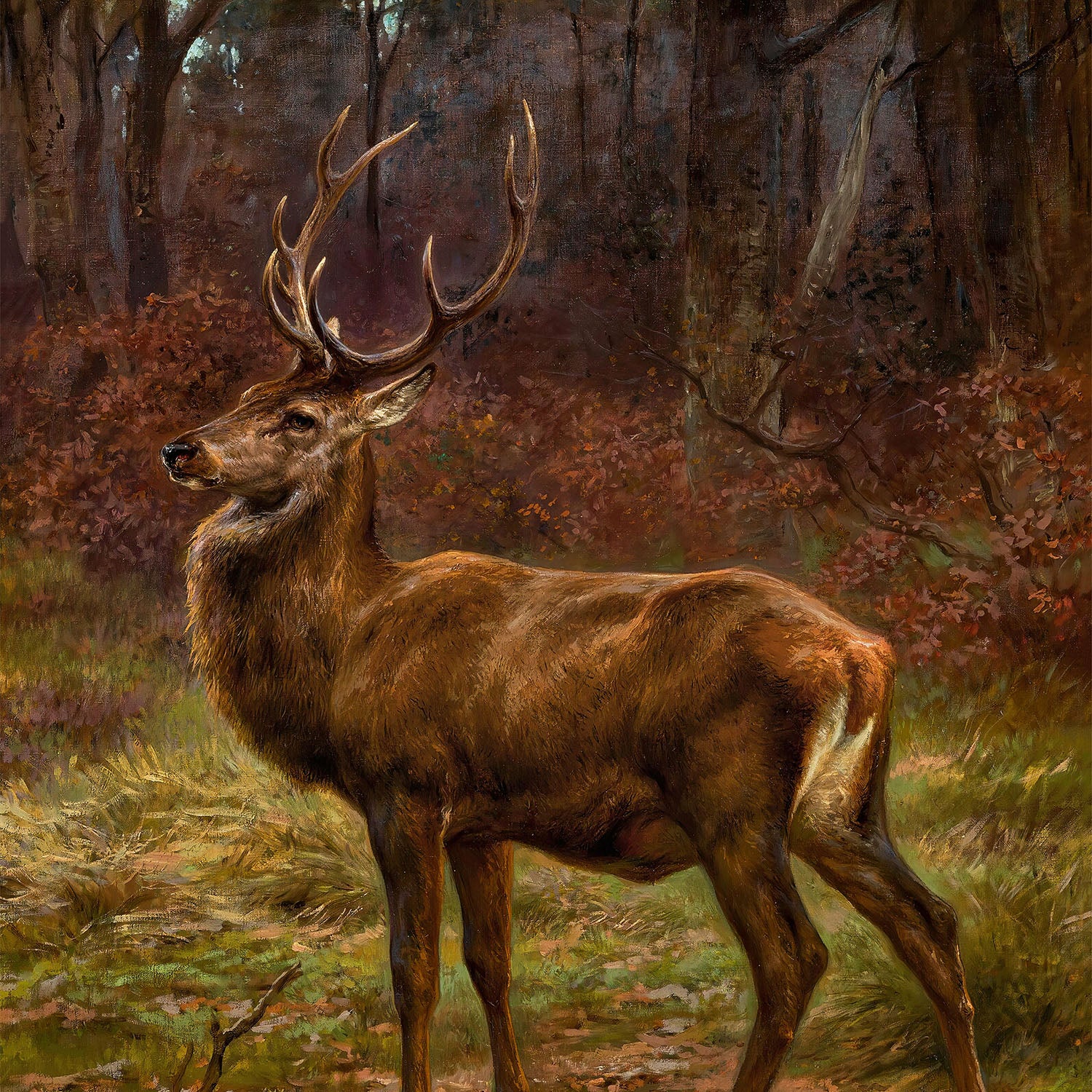 stag in autumn landscape