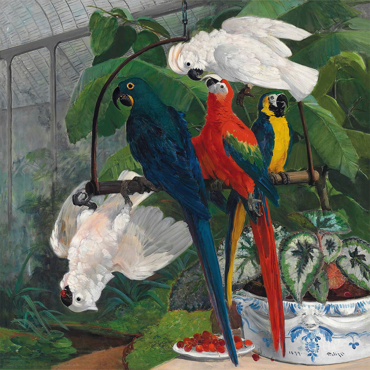 parrots