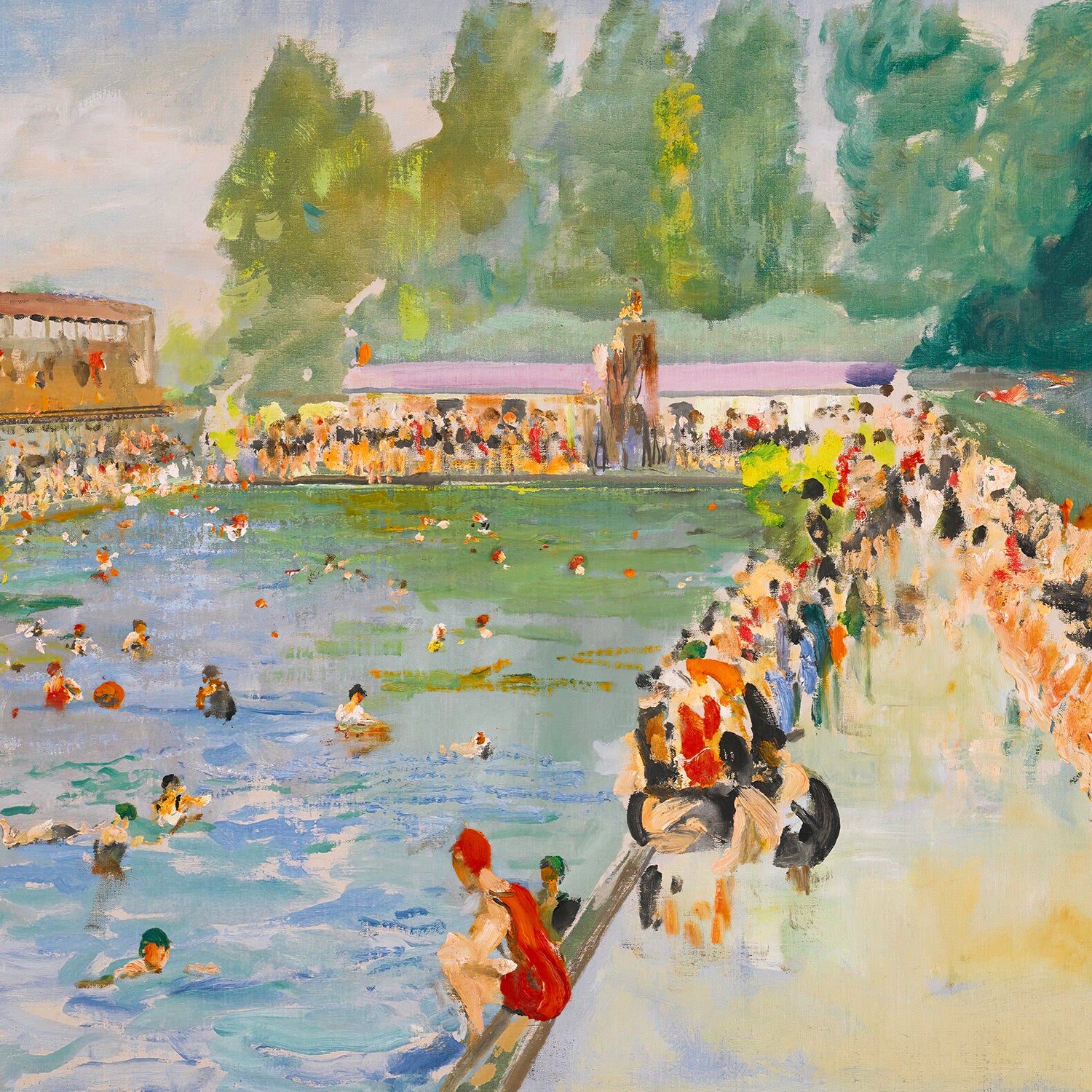 a summer swim