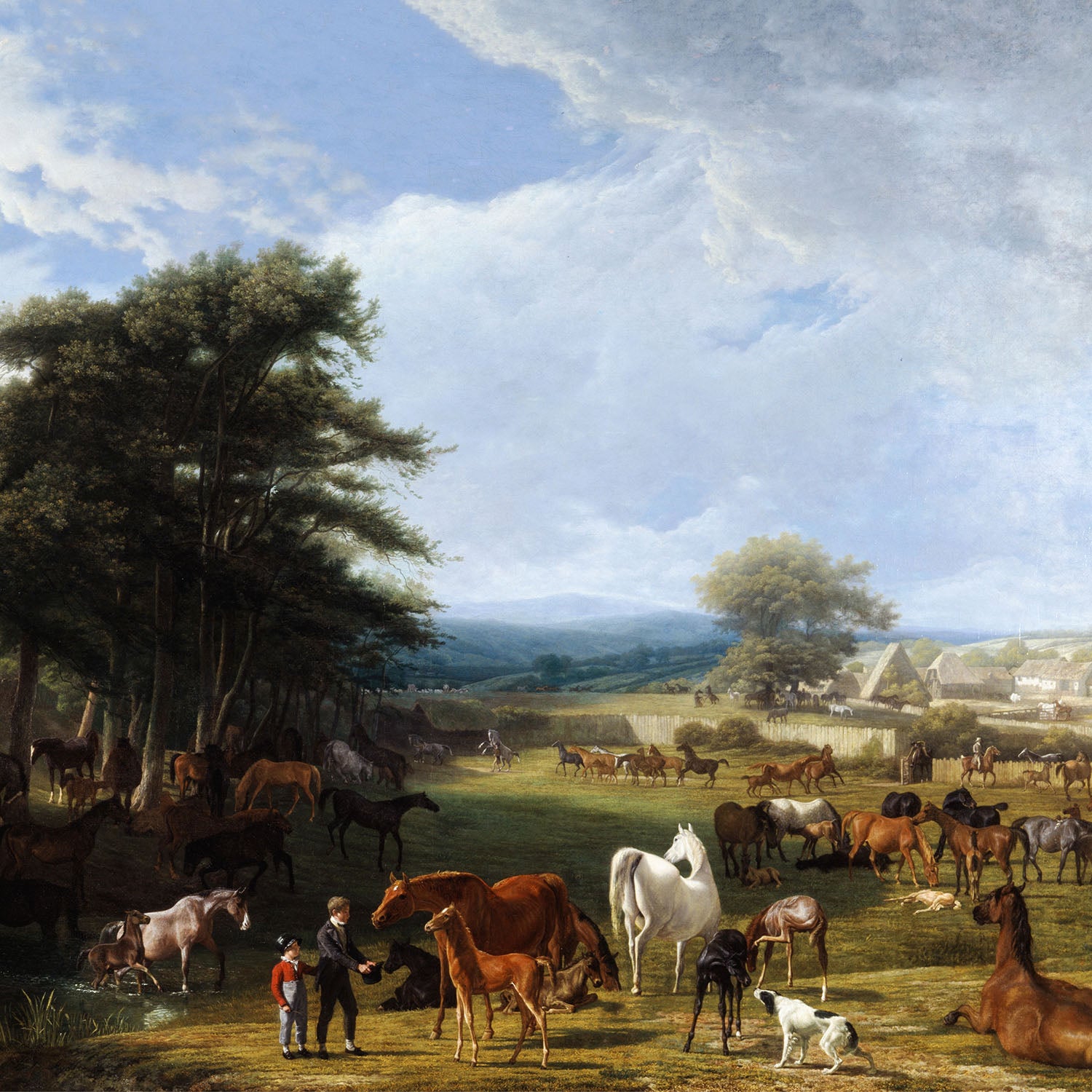 lord river's farm