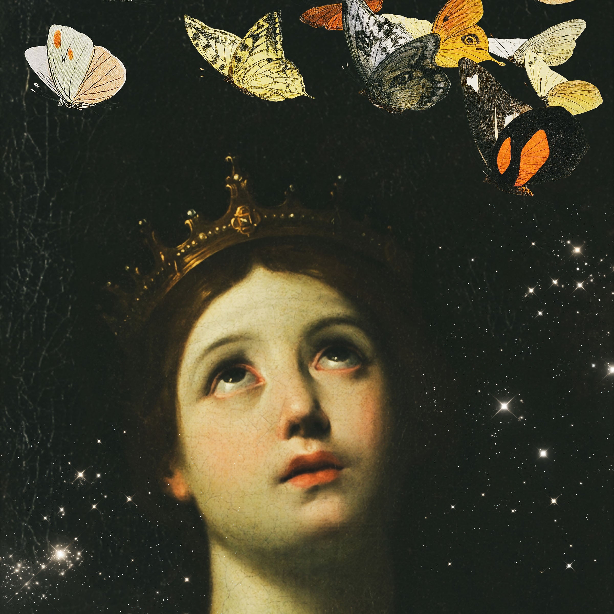 butterfly princess