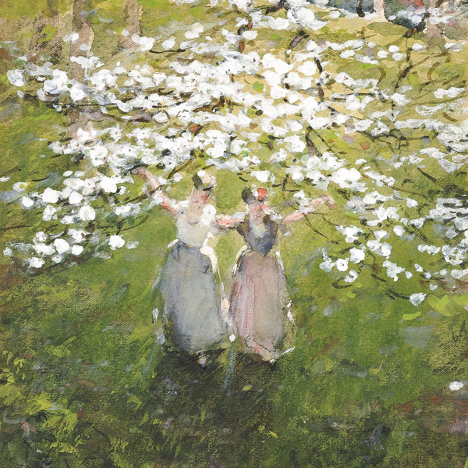 blossoms
