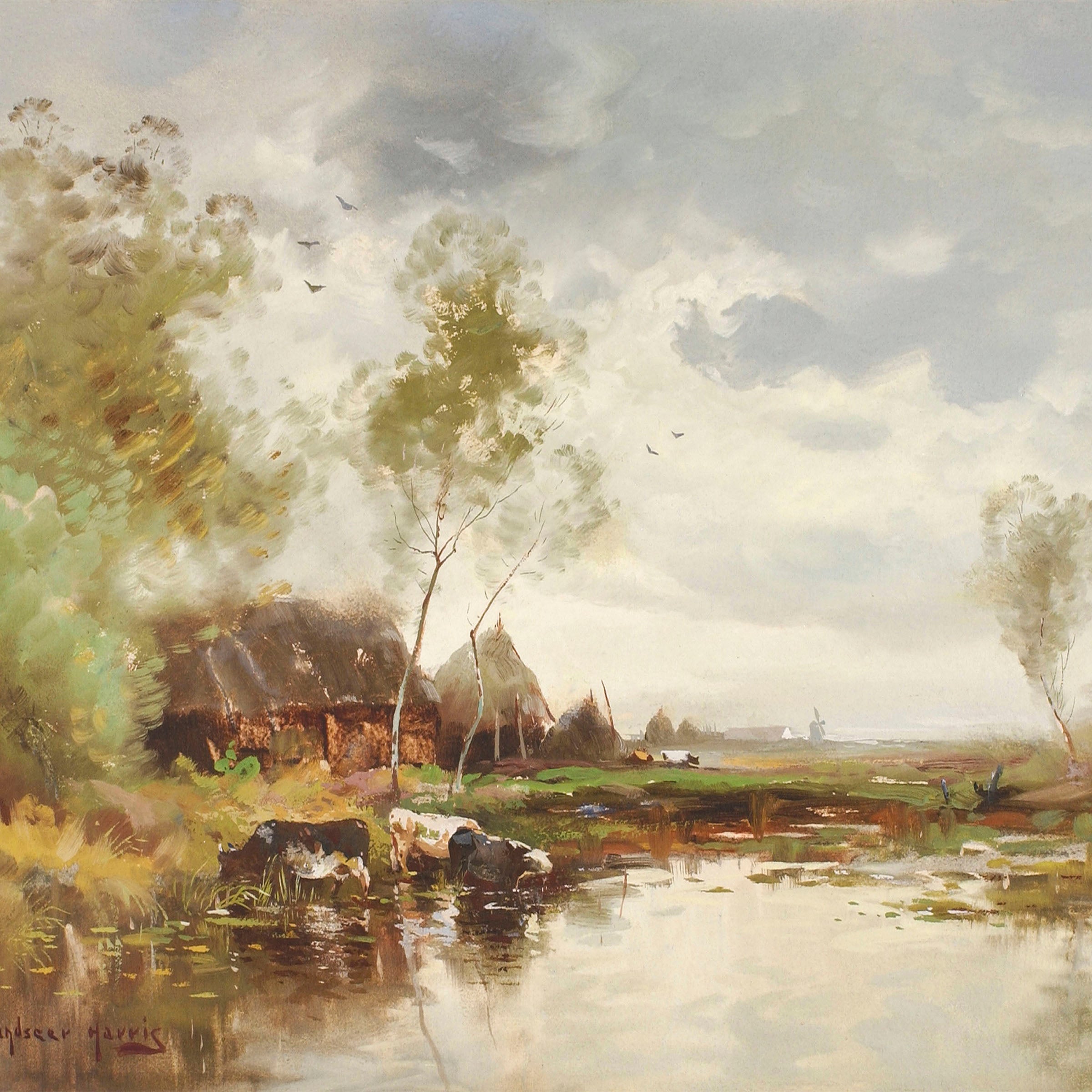 cows in the water